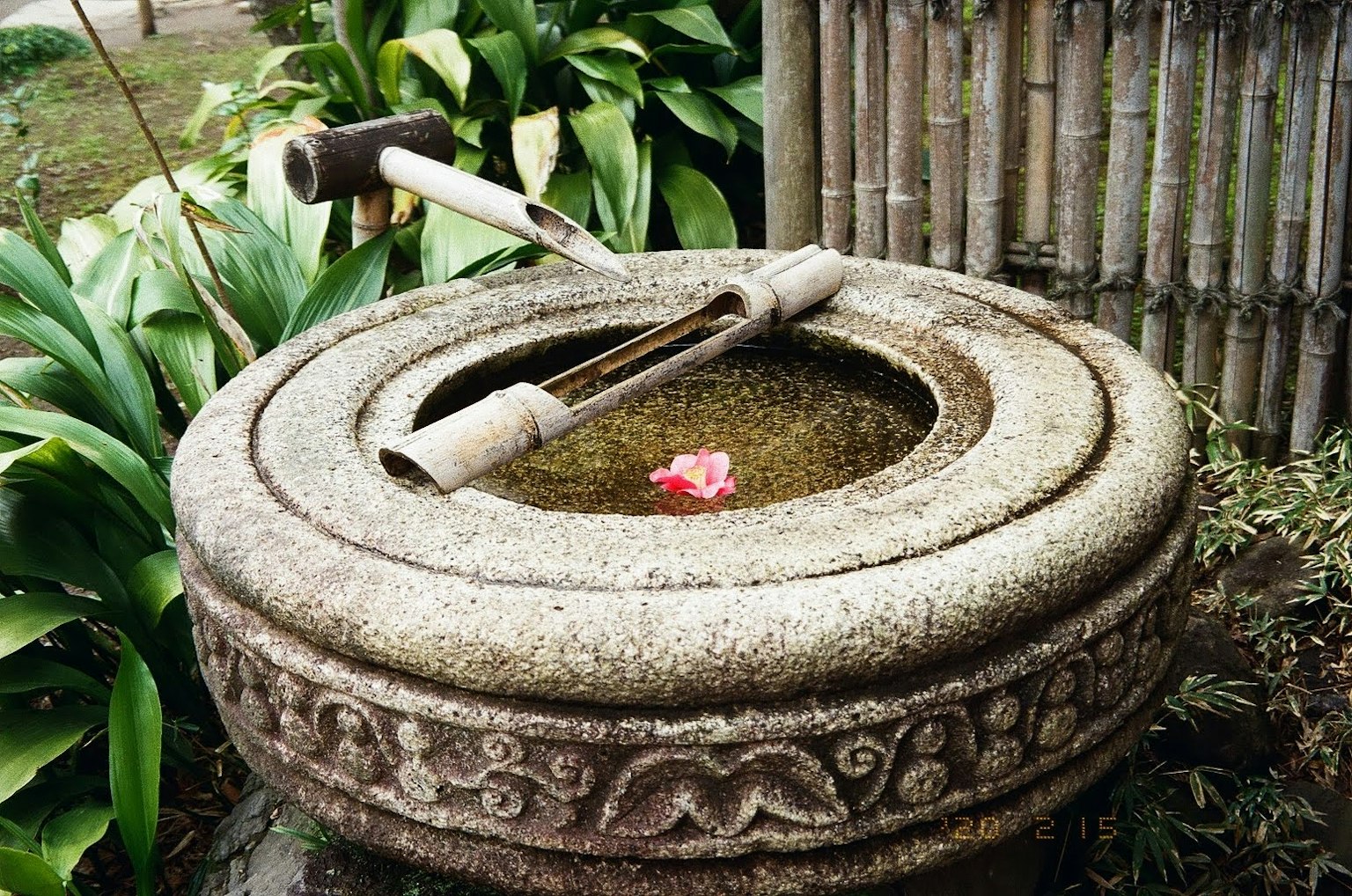 Bể nước đá với hoa nổi và nền tre