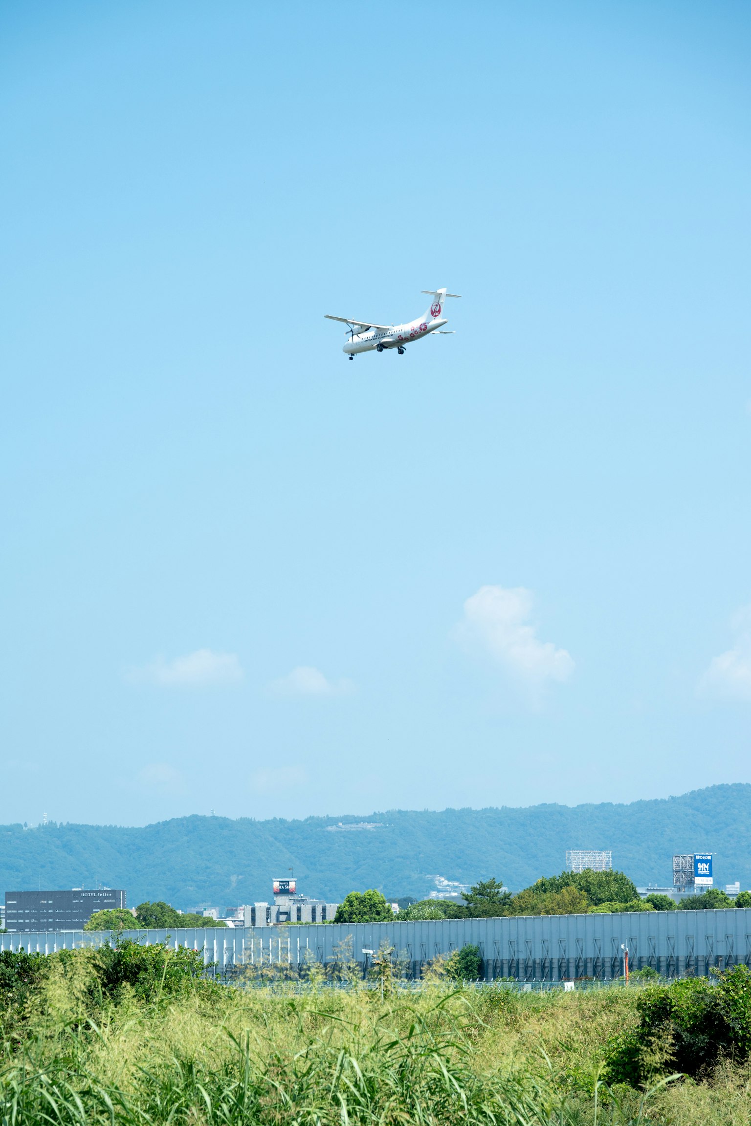 Ein Flugzeug landet unter einem blauen Himmel mit grünem Gras im Vordergrund