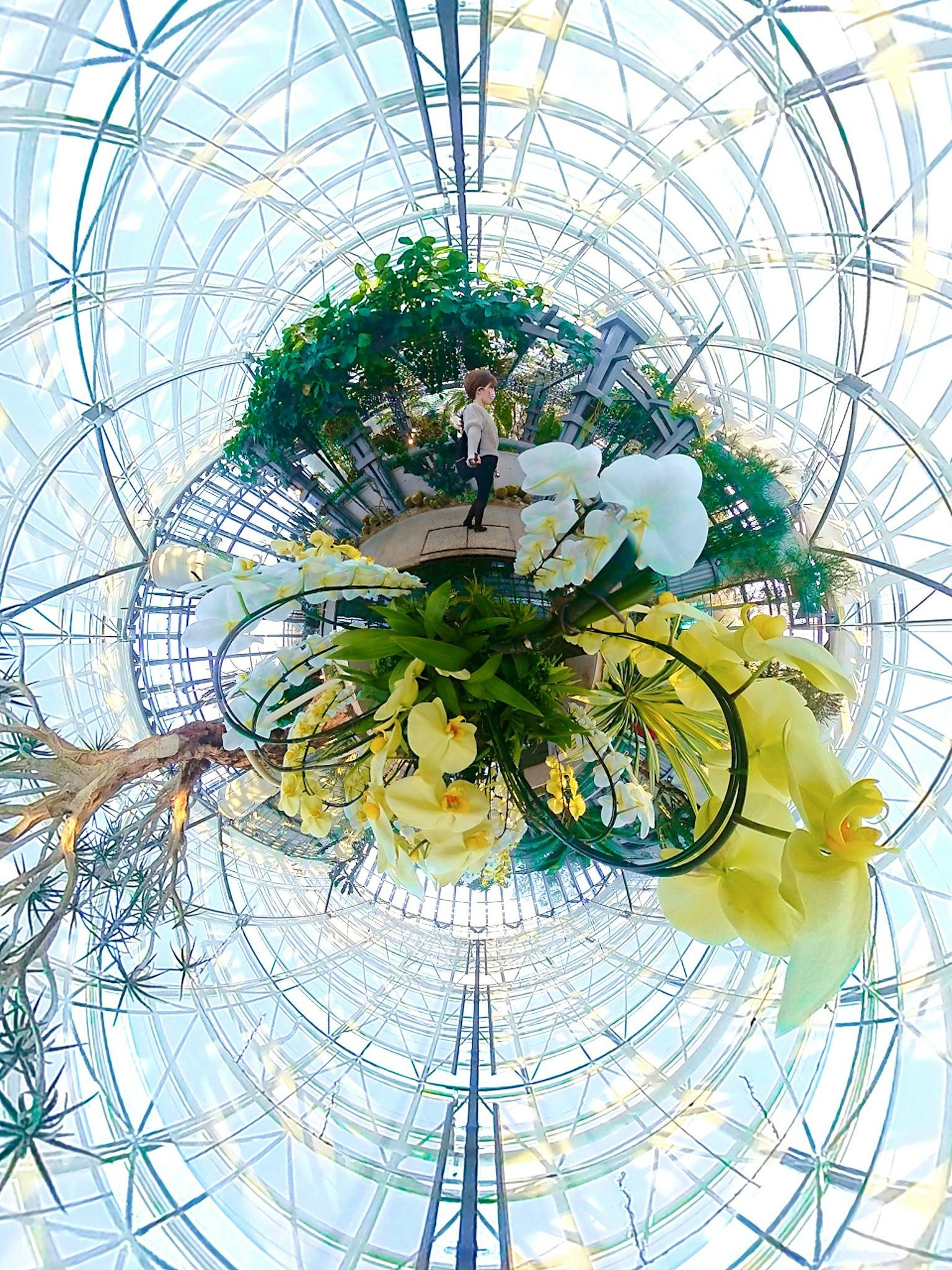 Intérieur d'une belle serre en verre avec des plantes luxuriantes et des fleurs vibrantes