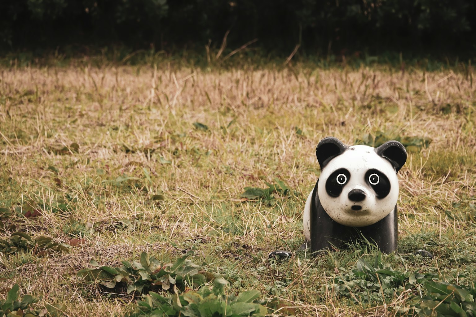 Ein Panda-Plüschspielzeug steht auf einem Grasfeld