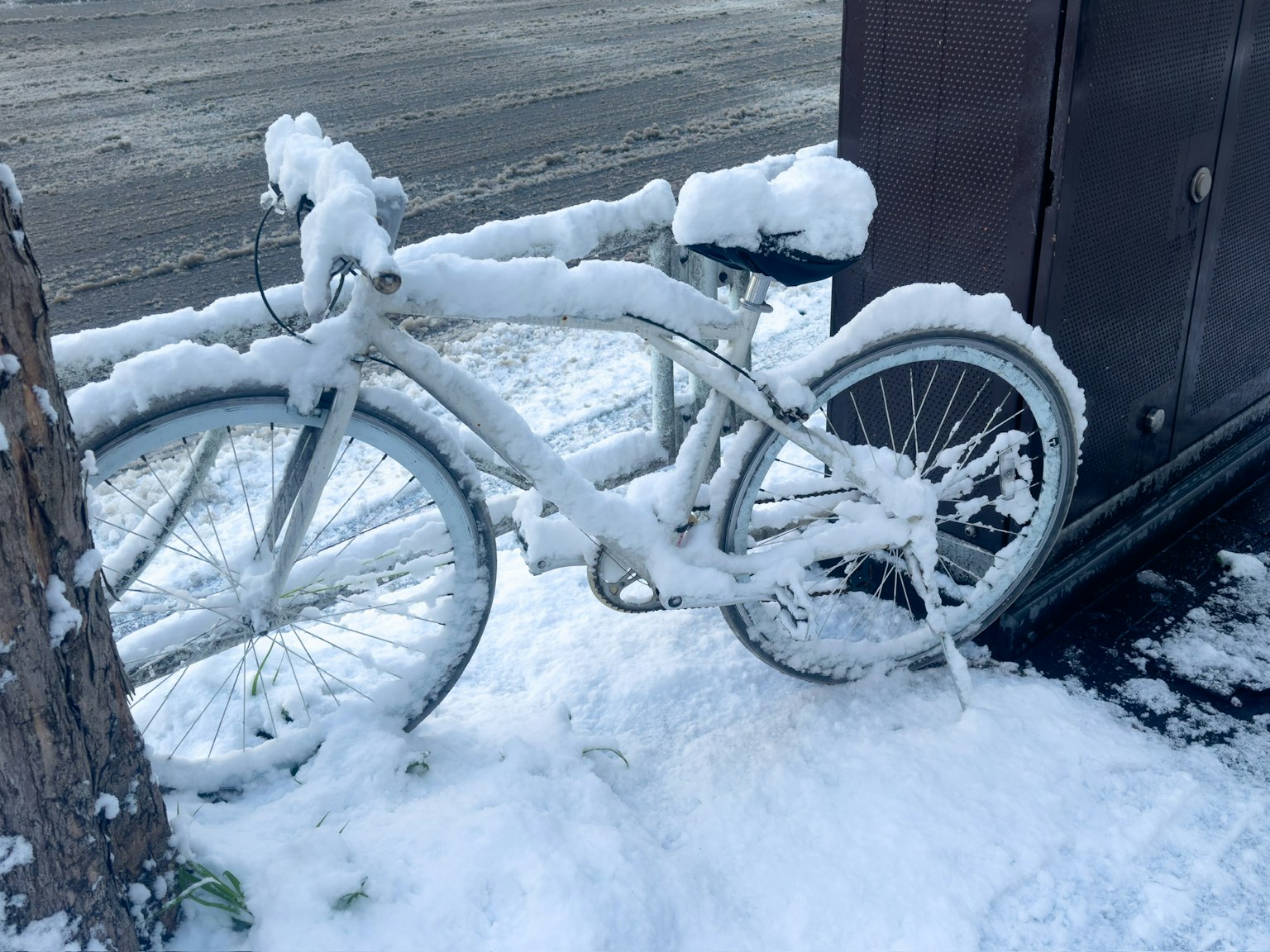 Ein weißes Fahrrad, das neben einem Baum mit Schnee bedeckt ist