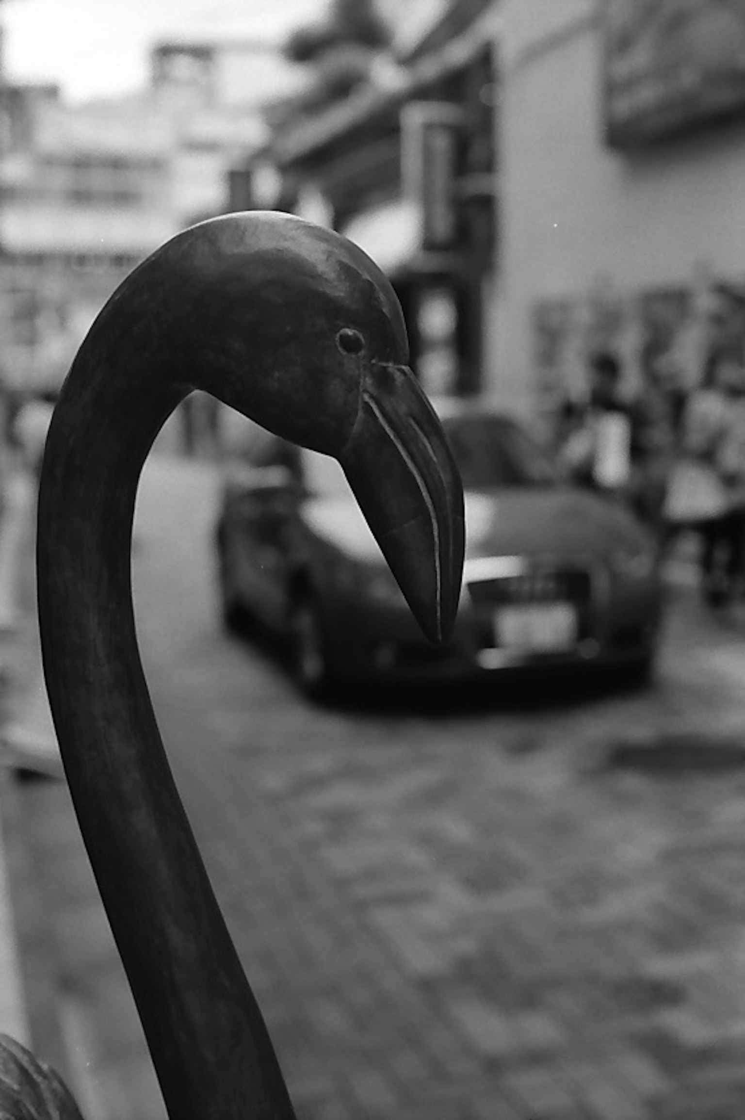 Nahaufnahme des Halses einer Flamingoskulptur vor einem schwarz-weißen Hintergrund