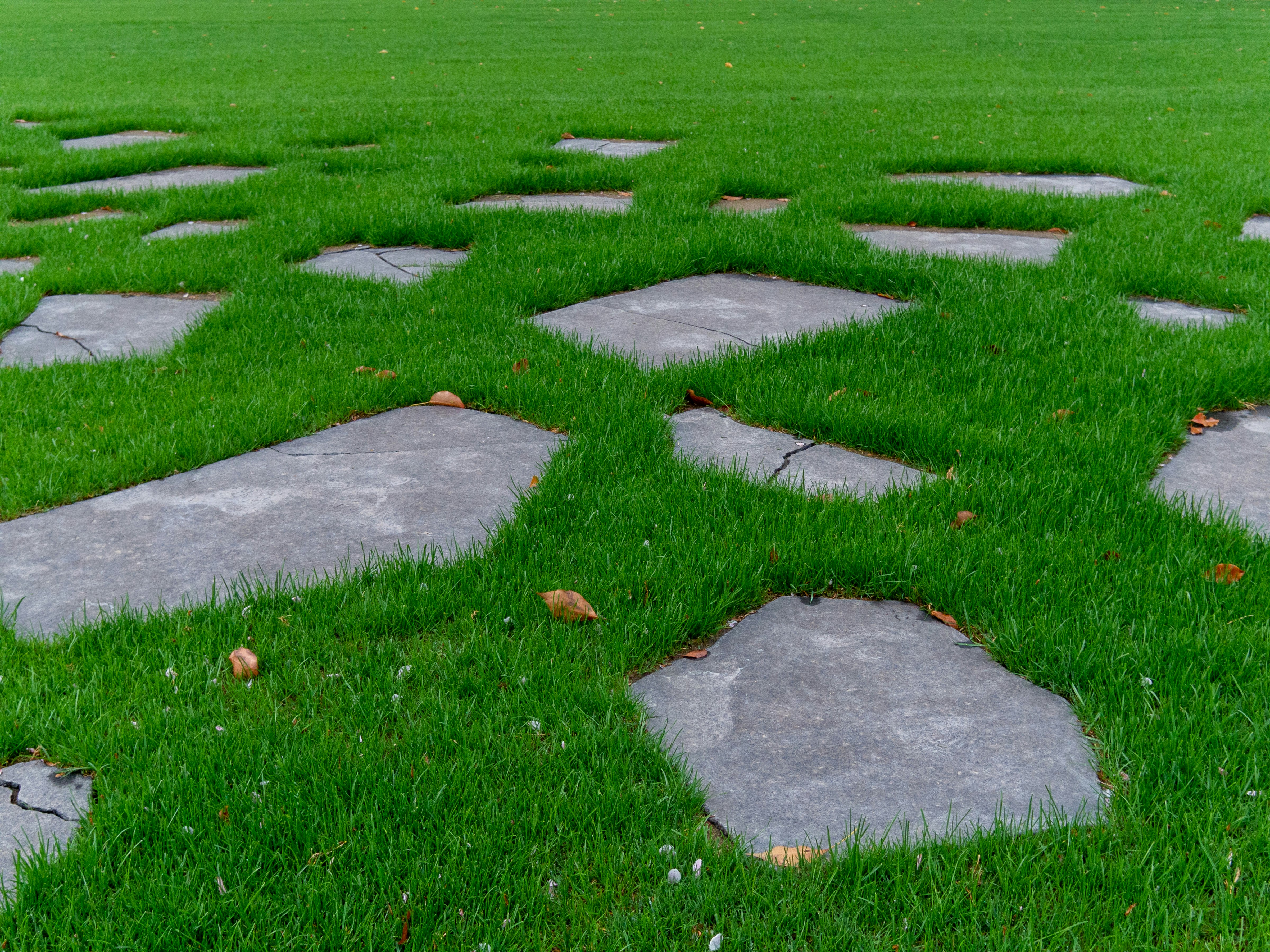 stone stepping path across green grass
