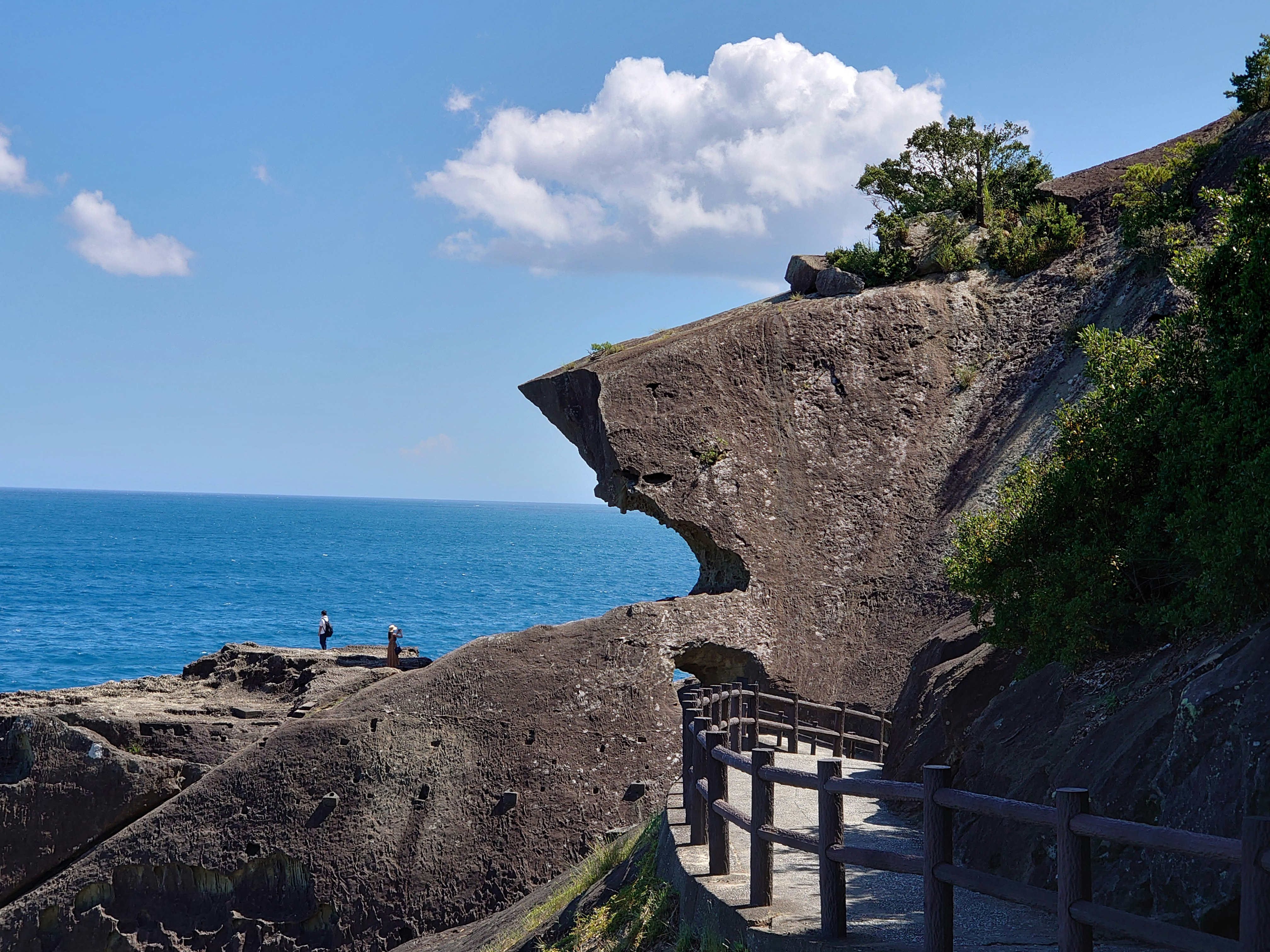 鬼ヶ城の断崖と海を望む遊歩道の景色