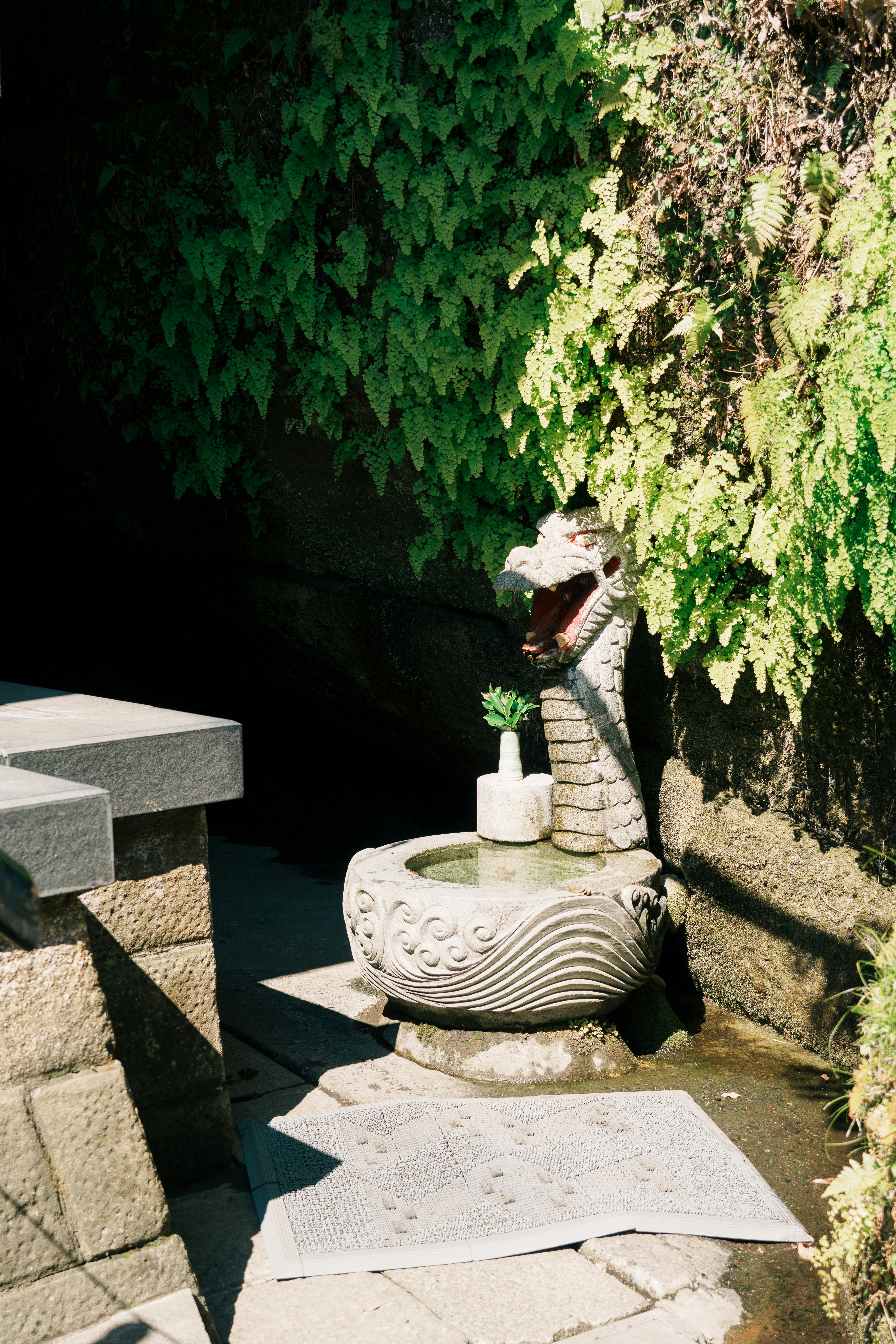 宇賀福神社の龍神様が祀られた石の水盤と緑の壁