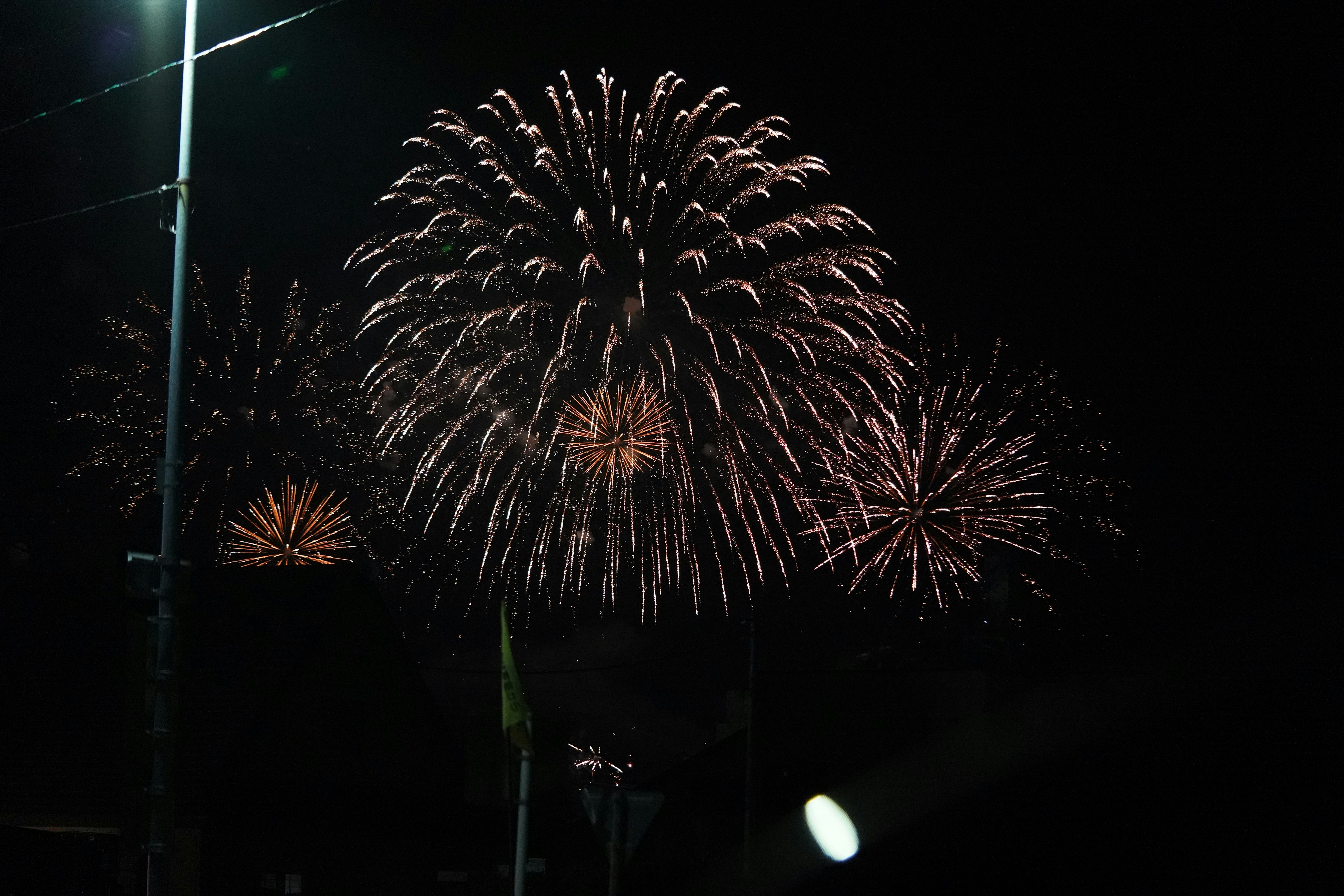 夜空中綻放的煙花