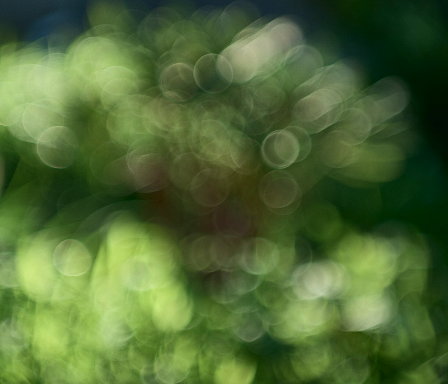 Abstract image with blurred green background and scattered points of light