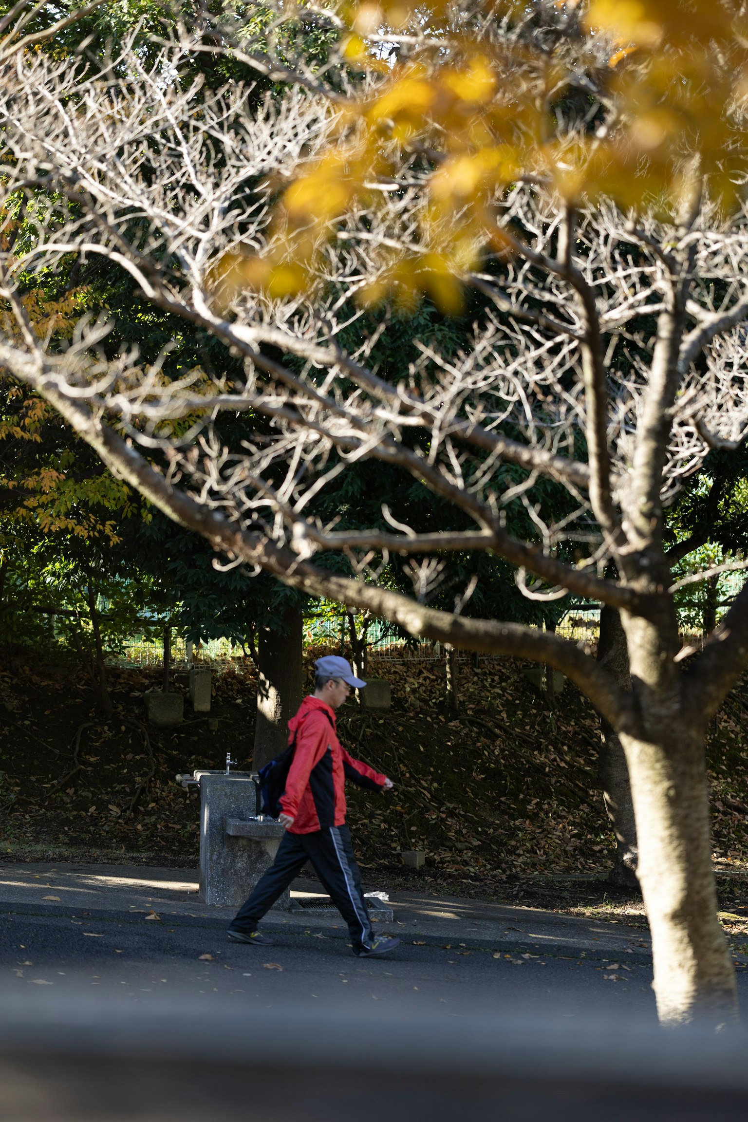 Une personne en veste rouge marchant dans un parc d'automne