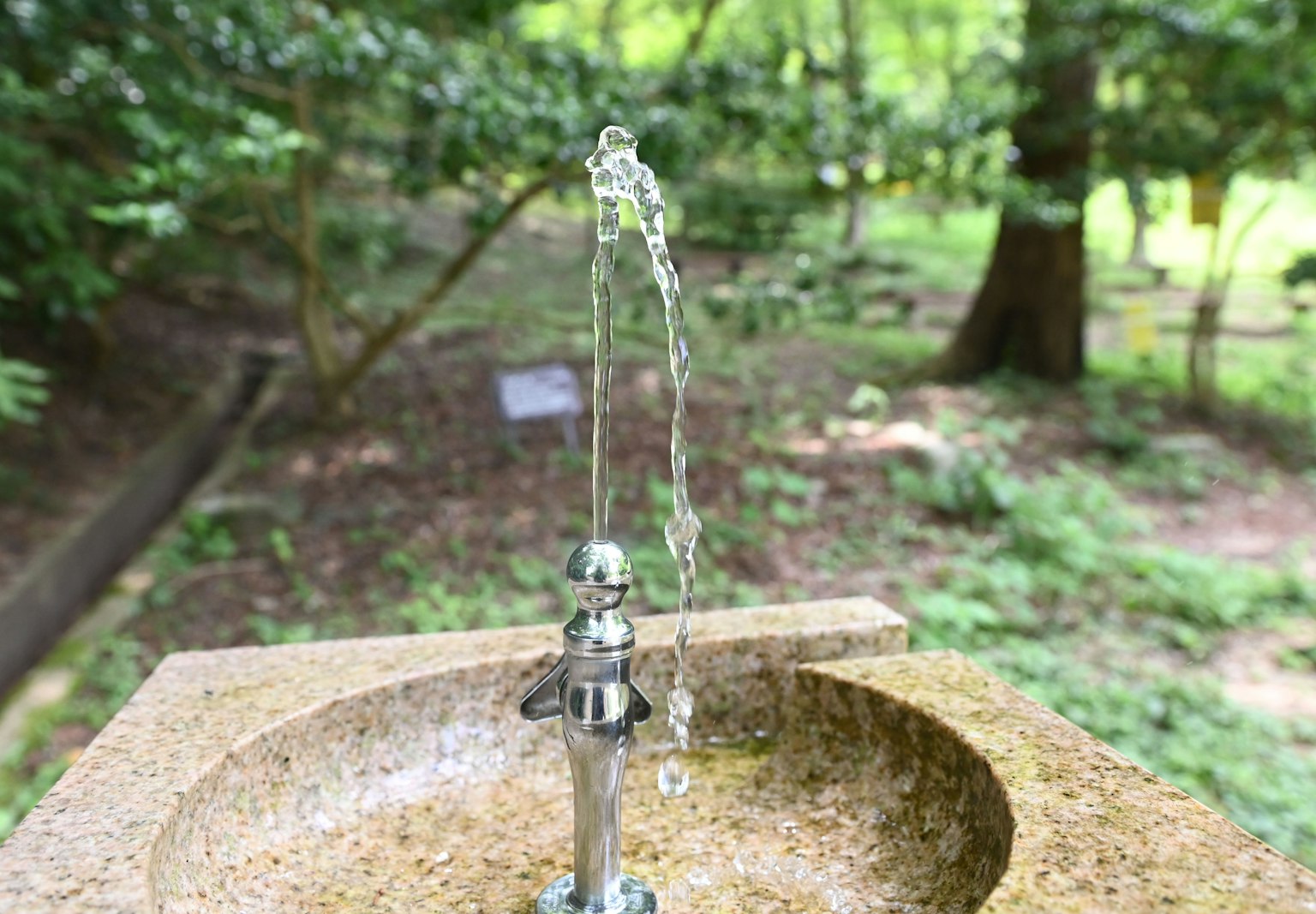 Fontana che spruzza acqua in un parco con vegetazione lussureggiante sullo sfondo