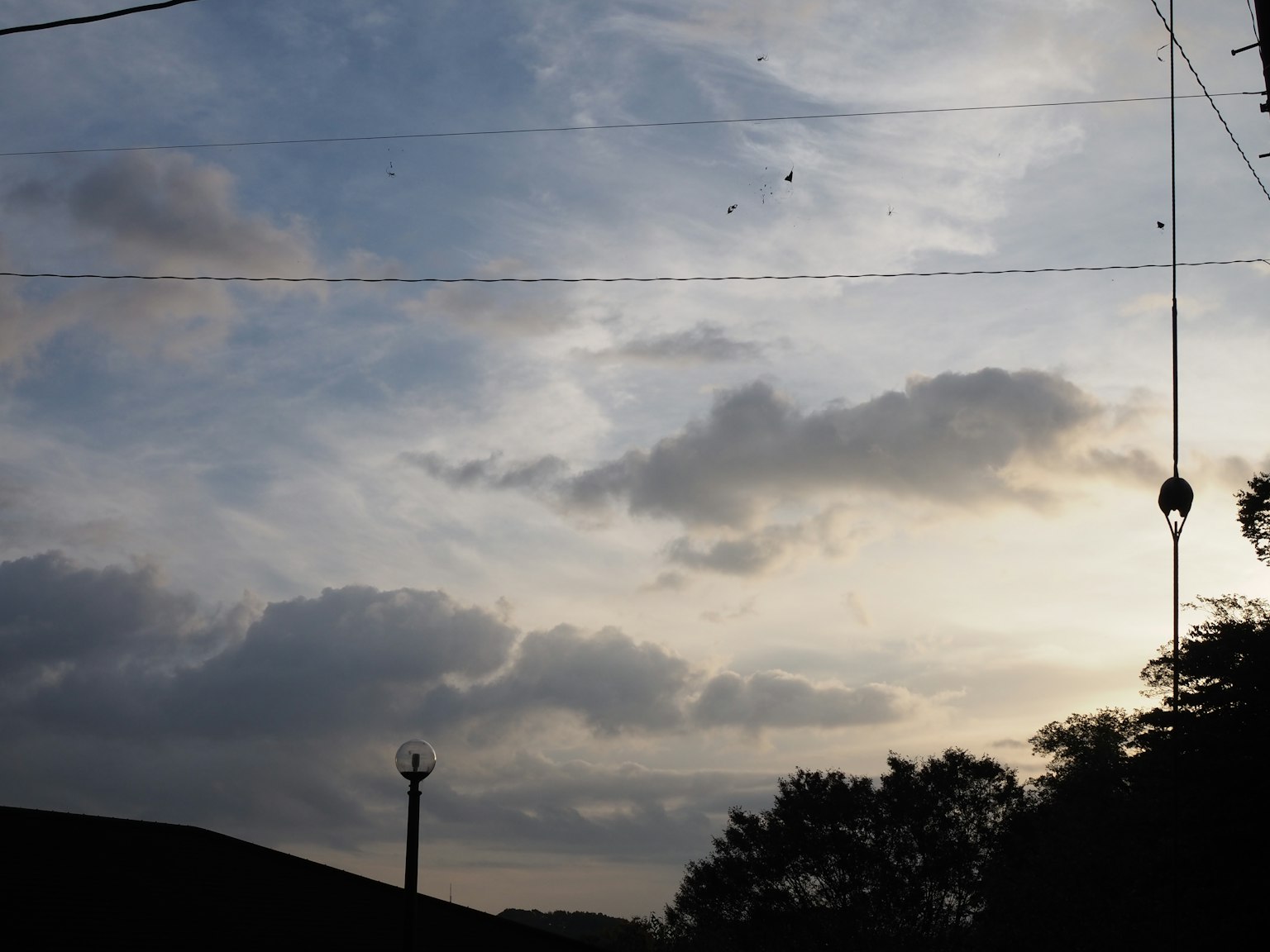 Cloudy sky at dusk with silhouettes of trees and power lines