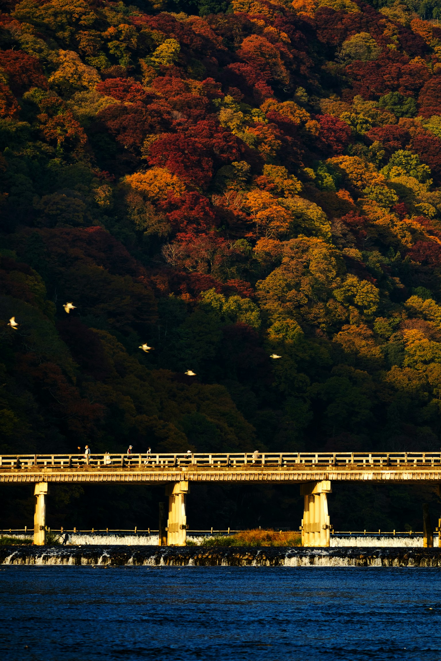 photo-CizBOsD5fHbIyIrOIVJq-image