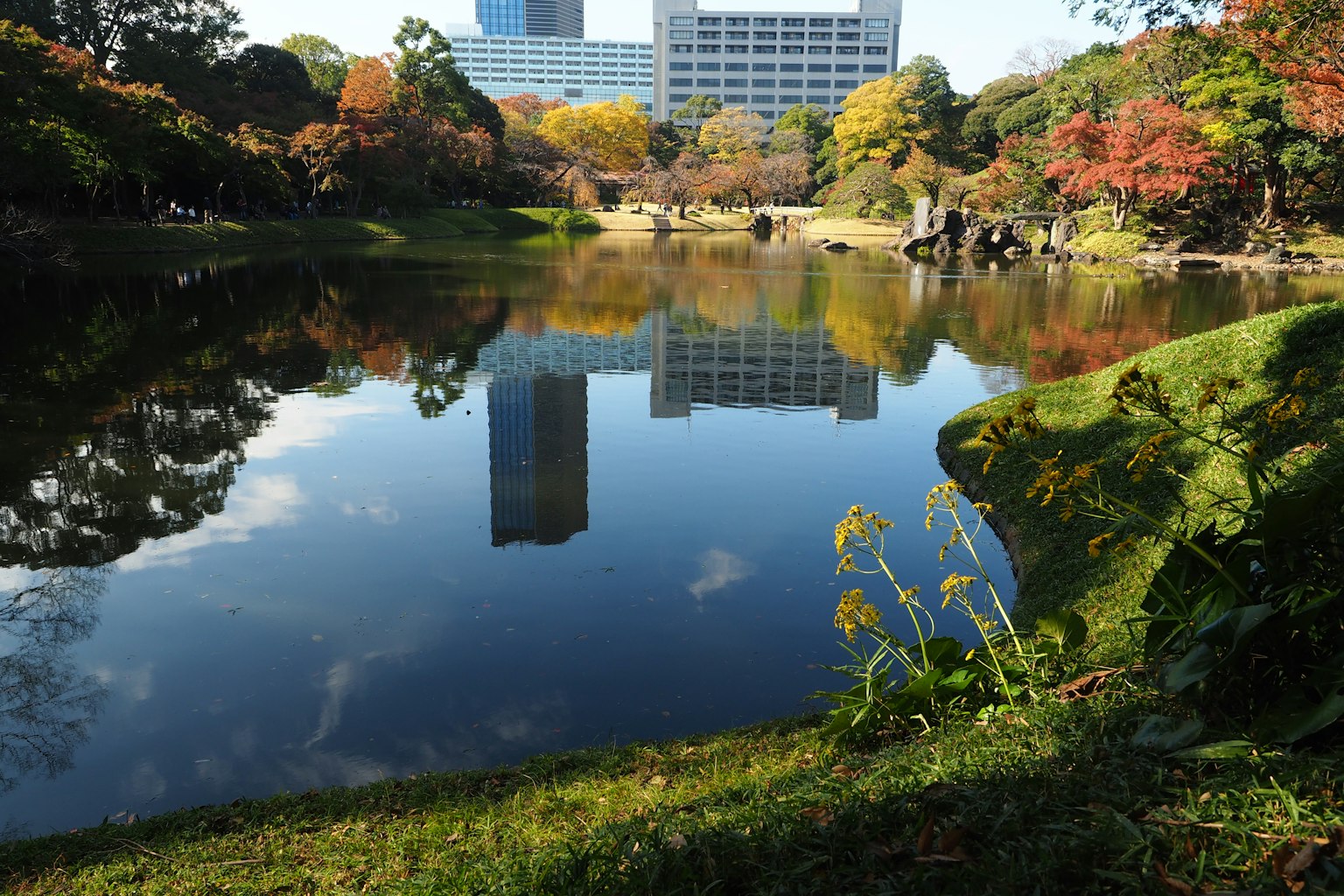 Scena di un parco urbano con uno stagno tranquillo che riflette il fogliame autunnale