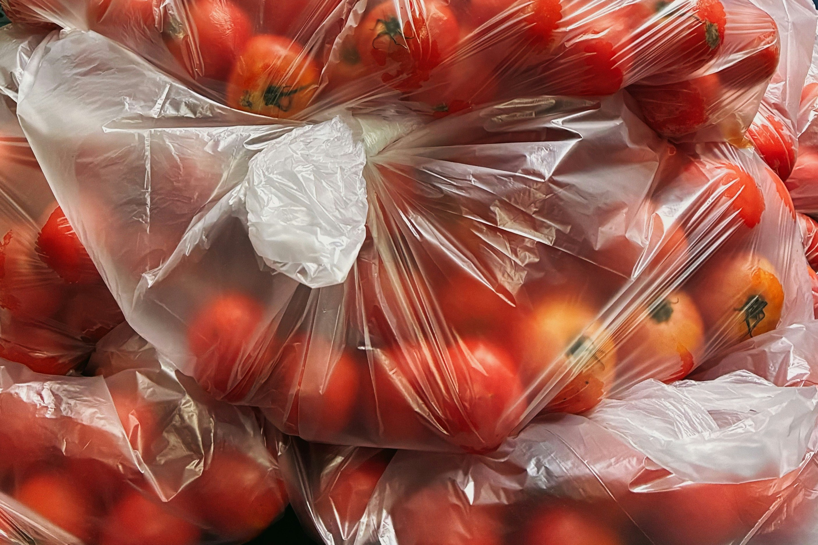 Tomates rojos agrupados en bolsas de plástico