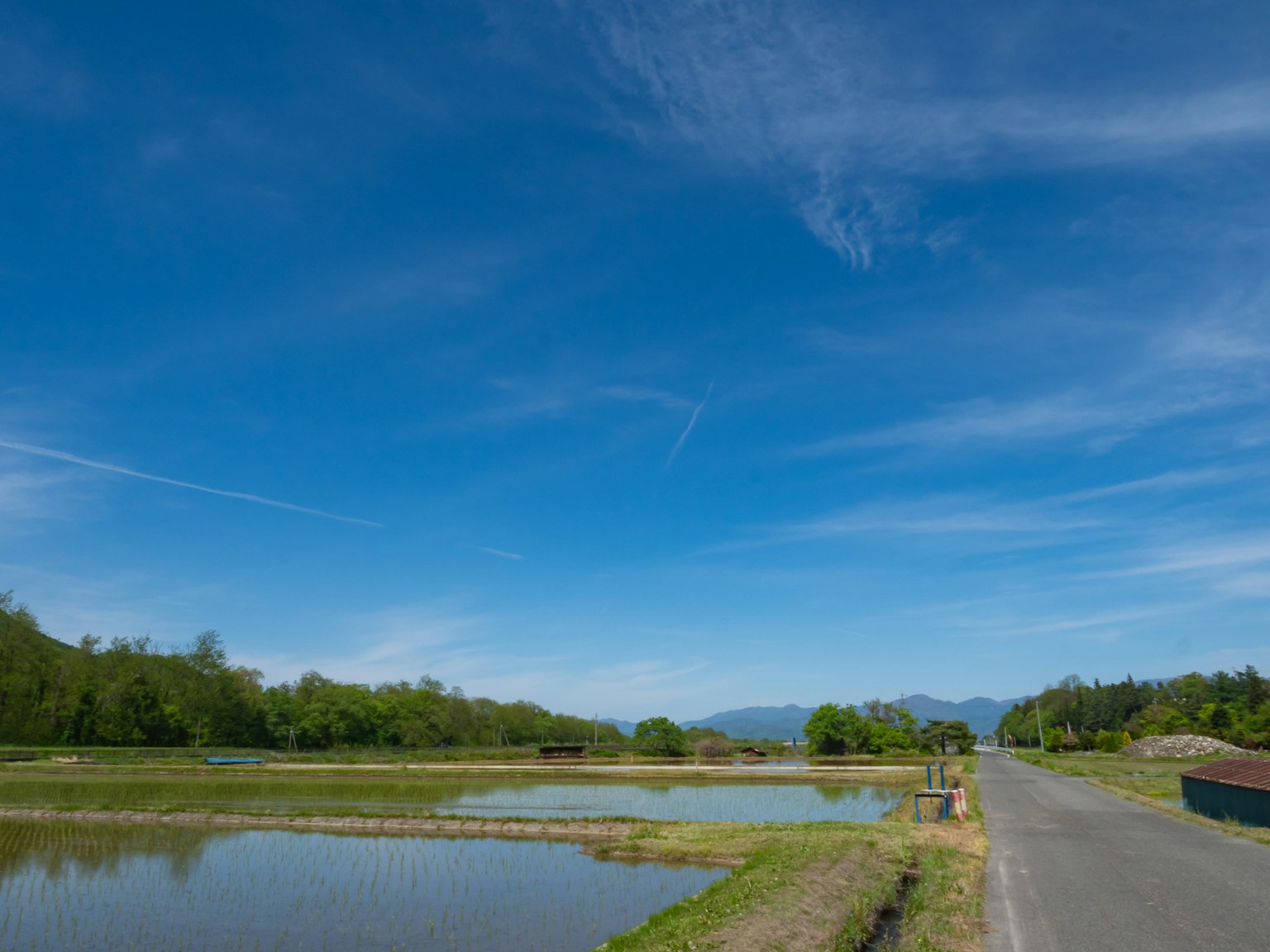 Malersicher Blick auf den blauen Himmel und Reisfelder mit üppigem Grün und Straße
