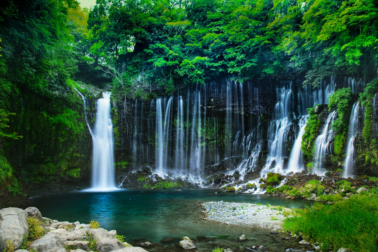 Magnifique cascade entourée d'une forêt verdoyante
