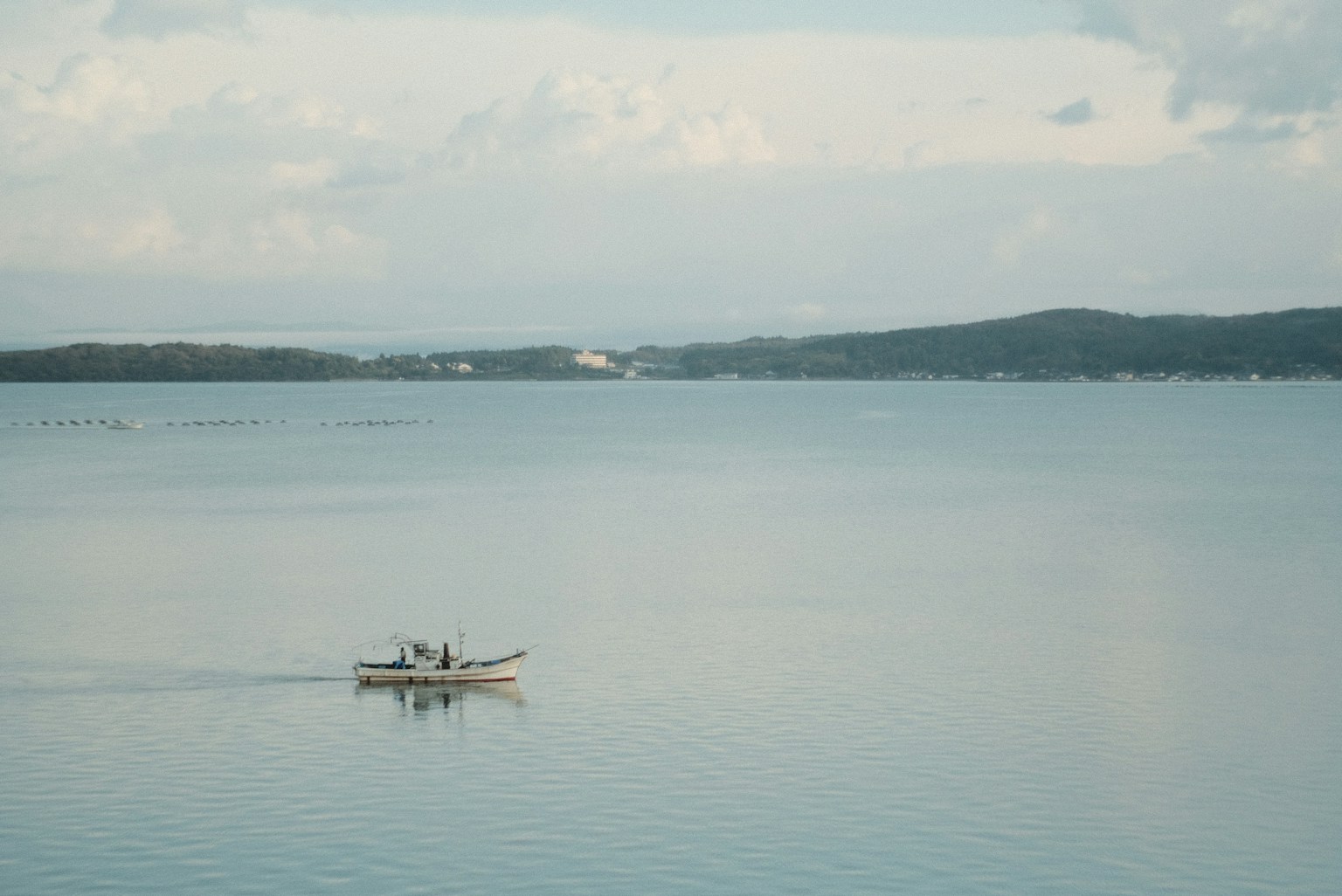 photo-Cjy6GKp8SmnGD9JCjvGO-image