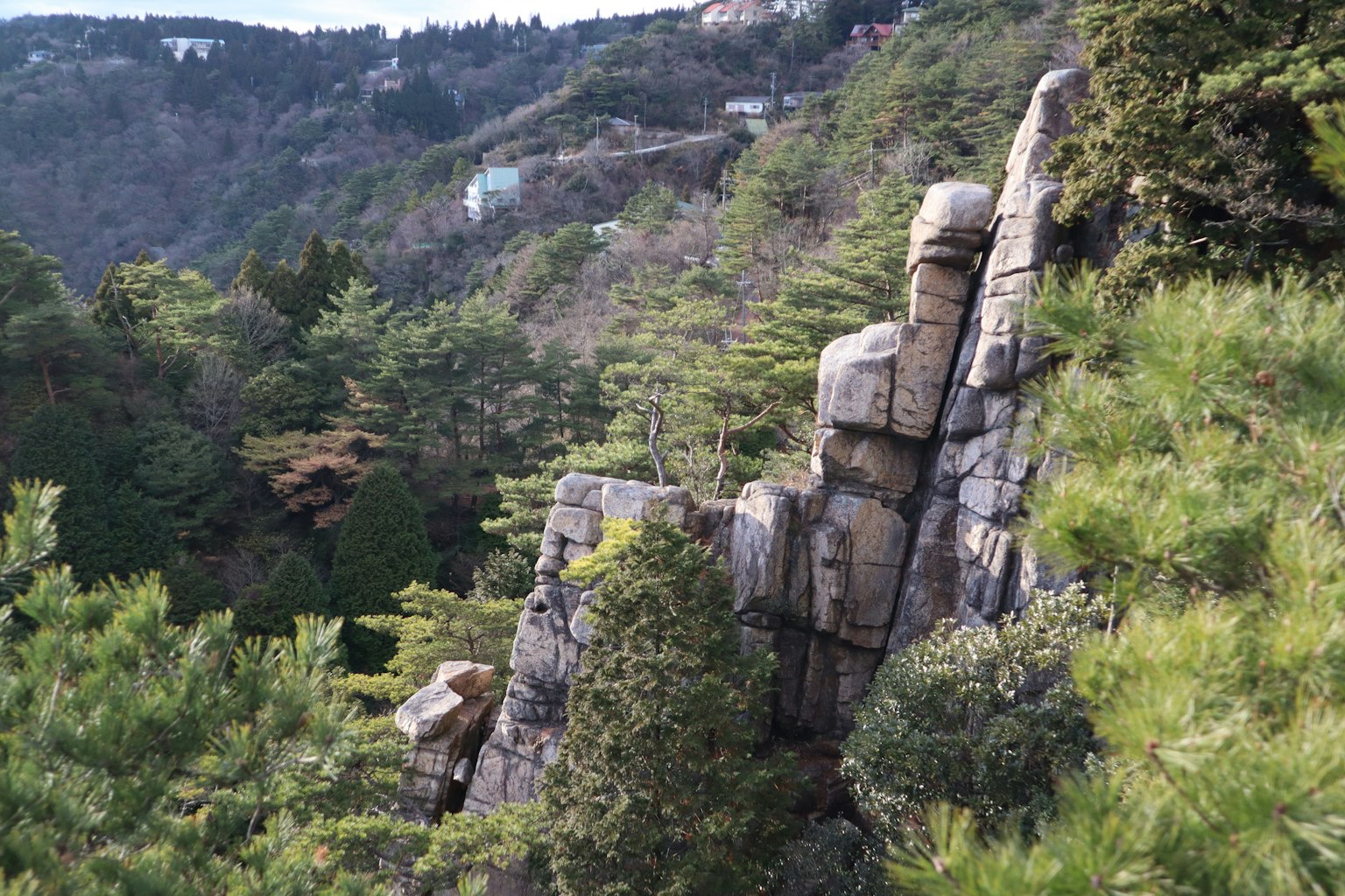 綠意環繞的岩石形成的風景