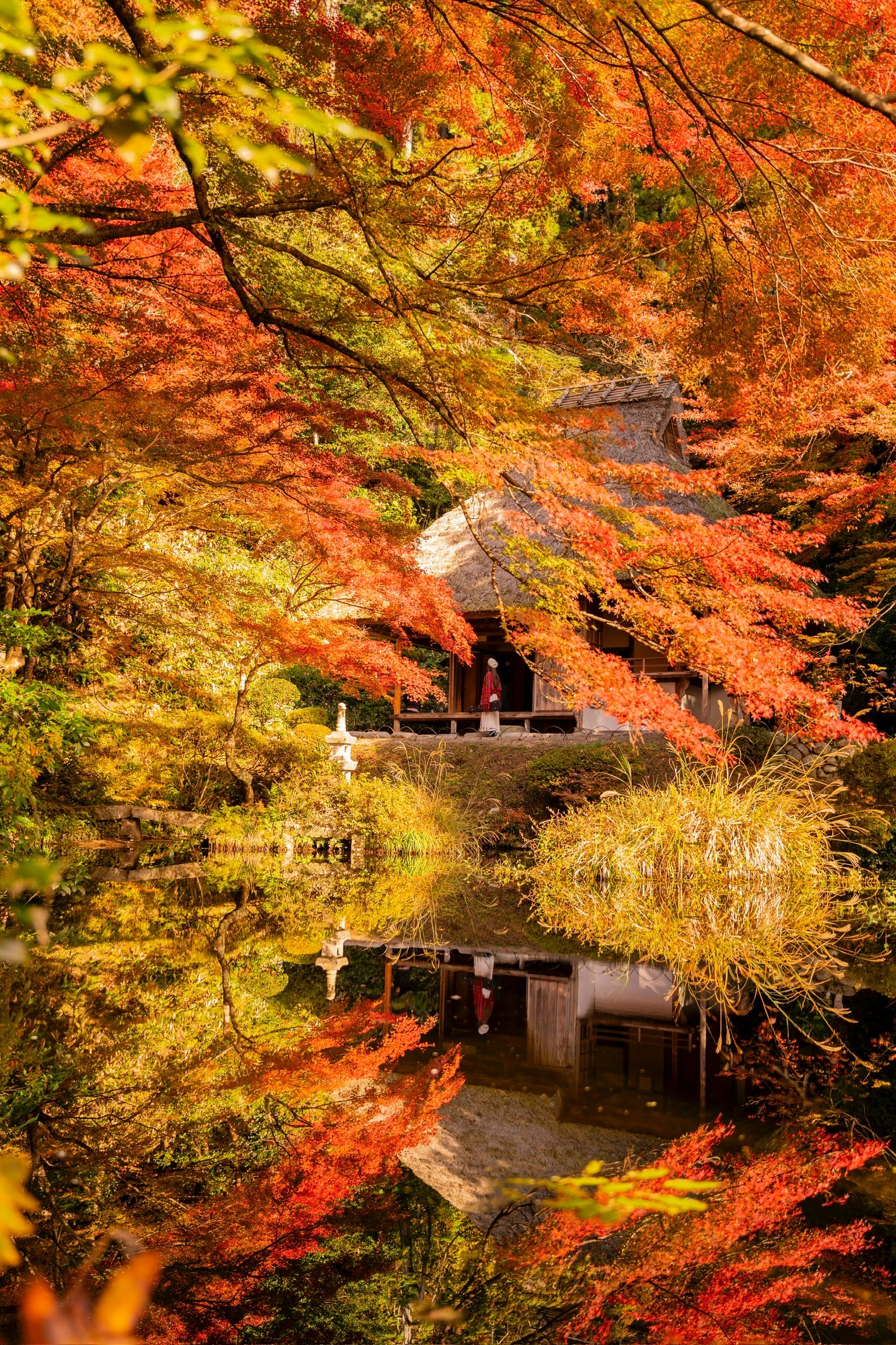 秋の紅葉が映る池と古い建物の風景