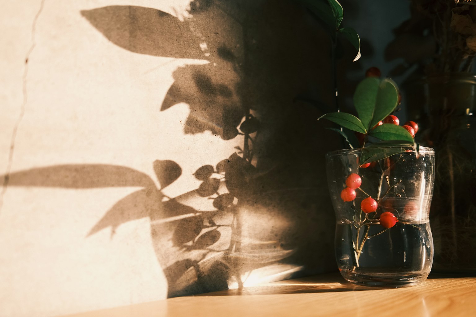 A clear glass jar holding red berries and green leaves casting shadows on the wall