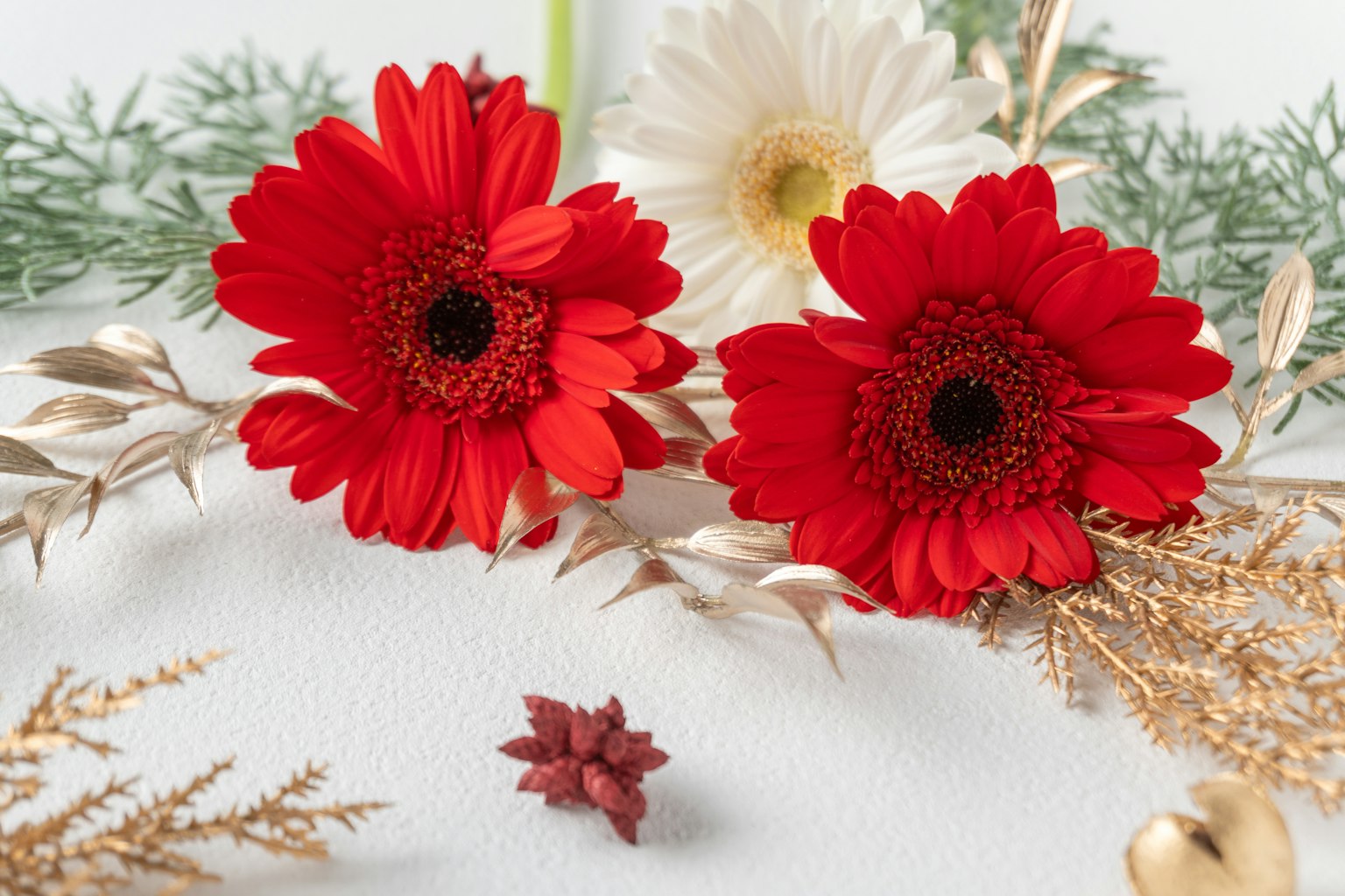 Vibrantes margaritas rojas con un arreglo de flores blancas