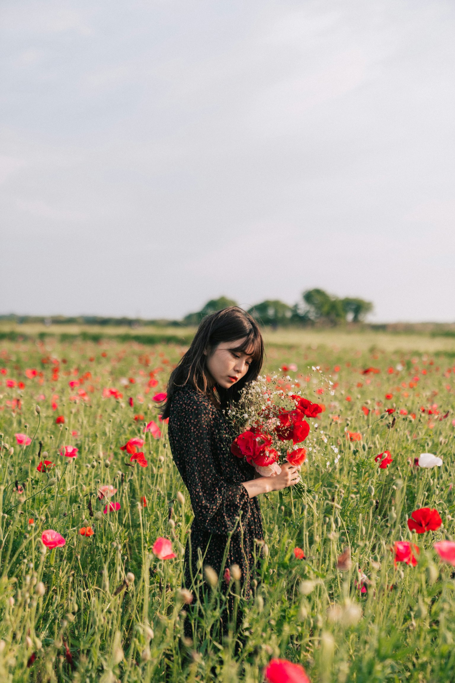 Une femme debout dans un champ de fleurs rouges tenant un bouquet