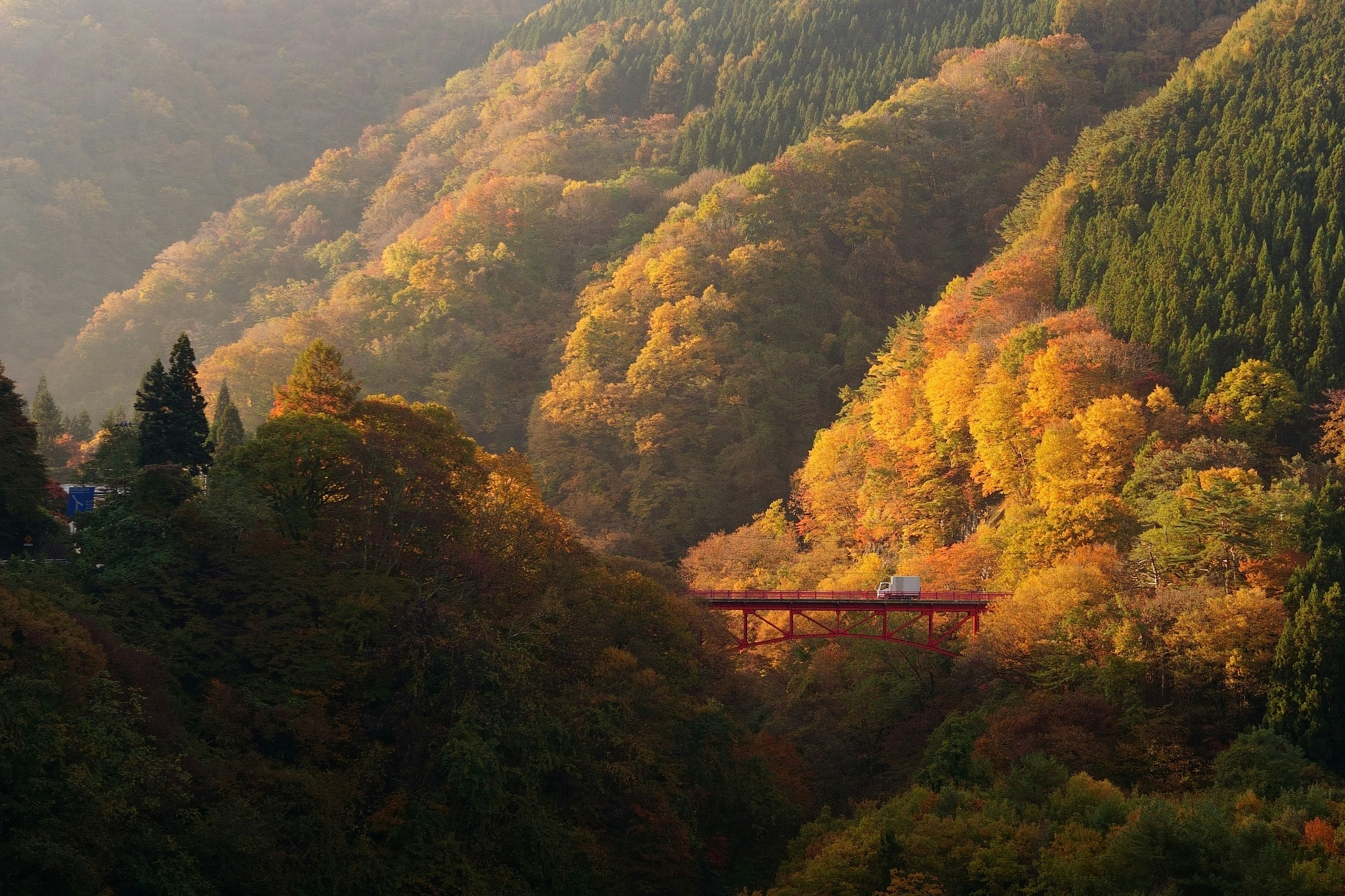 秋季山谷红叶与红色桥梁横跨峡谷的风景