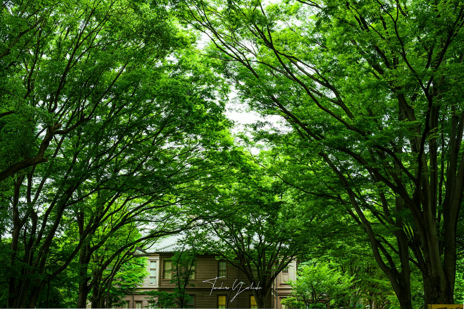 photo-CmN1s8Nd1nJZBuB2T18w-image