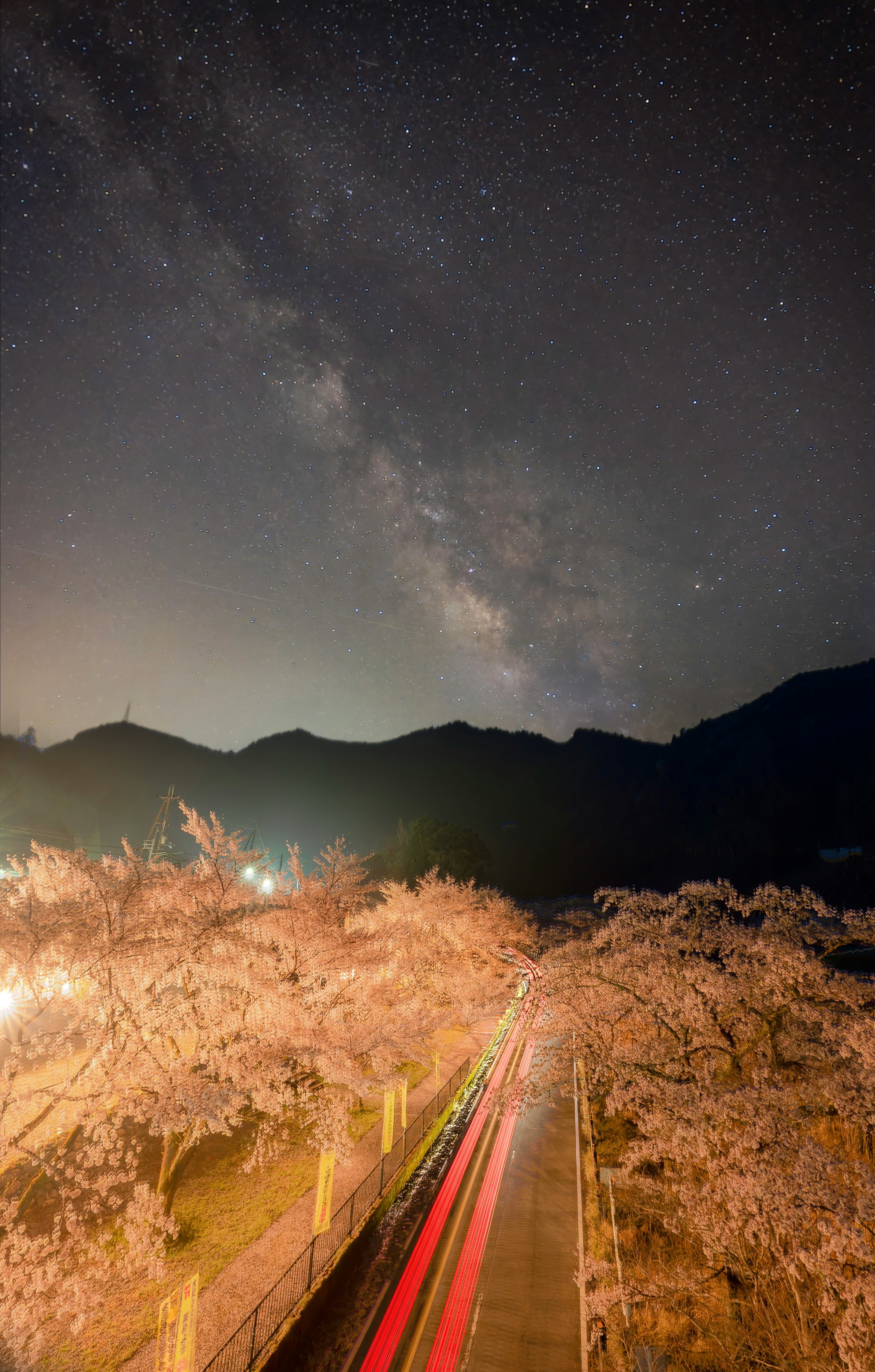 天の川と桜並木が続く山道の夜景