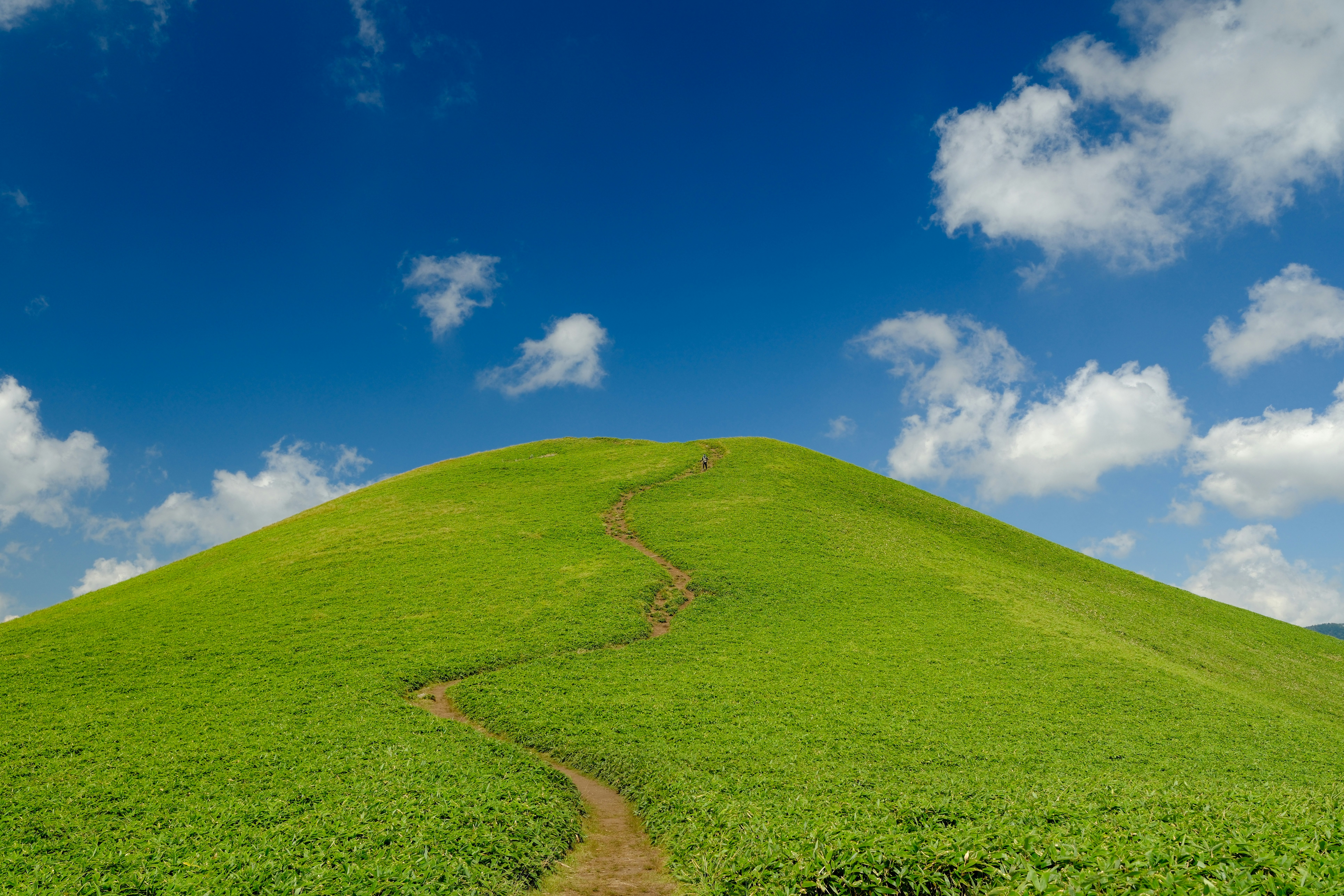 青空の下で続く緑の丘と草の小道