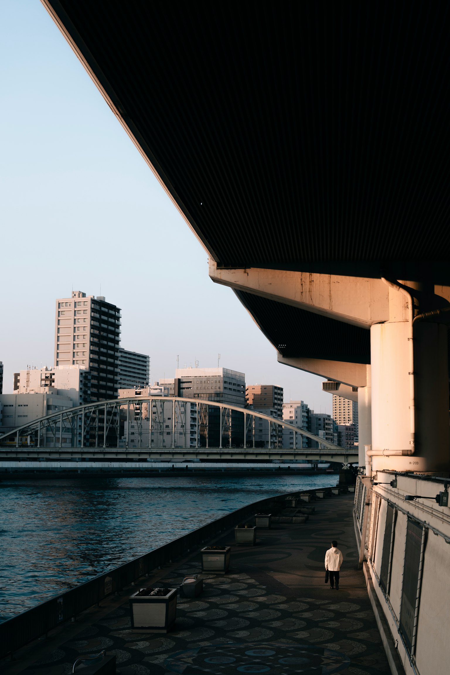 黃昏時的城市景觀 桥和建筑可見