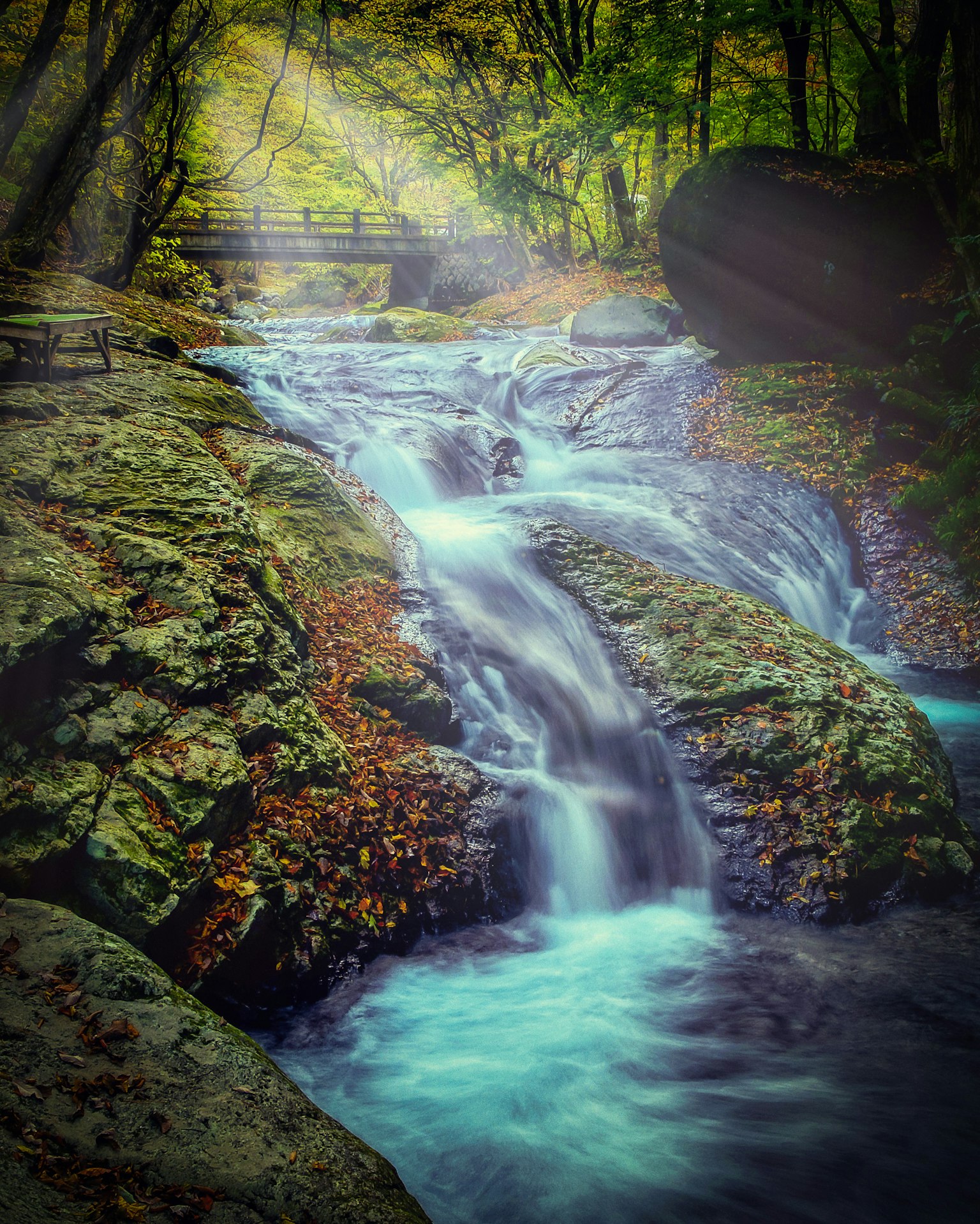 Schöner Bach und Wasserfall, die durch einen üppigen grünen Wald fließen