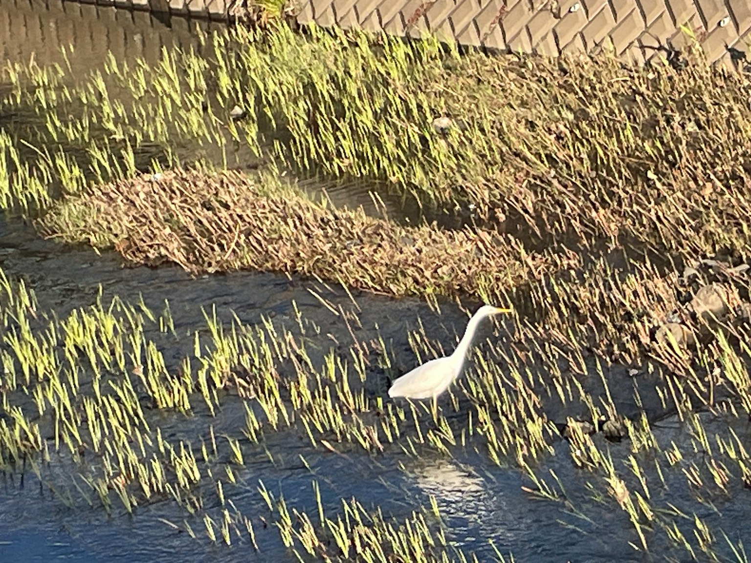 photo-CnbeLnXOk9aLonP8Oi23-image