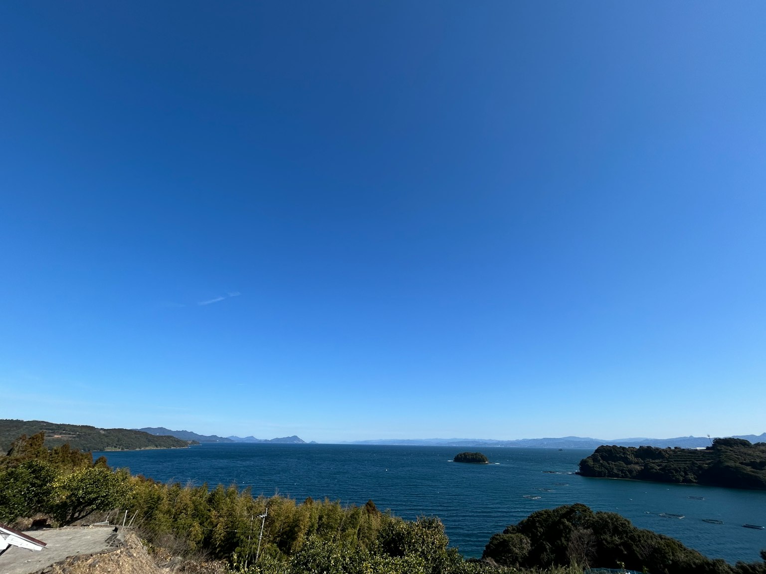 Vista panoramica di un cielo blu chiaro e dell'oceano Vegetazione verde lungo la costa