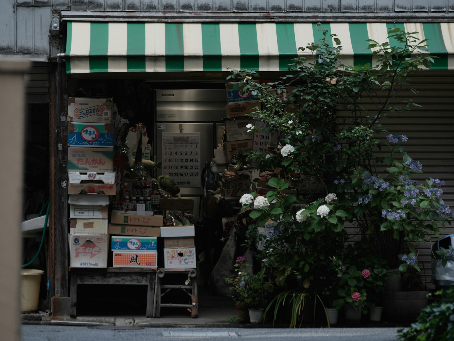 photo-CnmmymmXWcoj7NFqQQqu-image