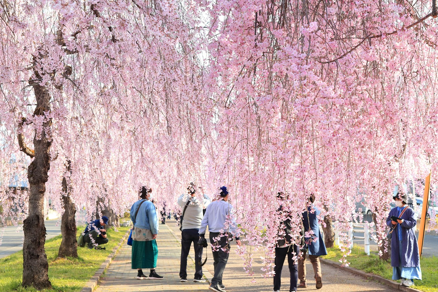 photo-CnpvNg1qWIAkSCPox5Ue-image