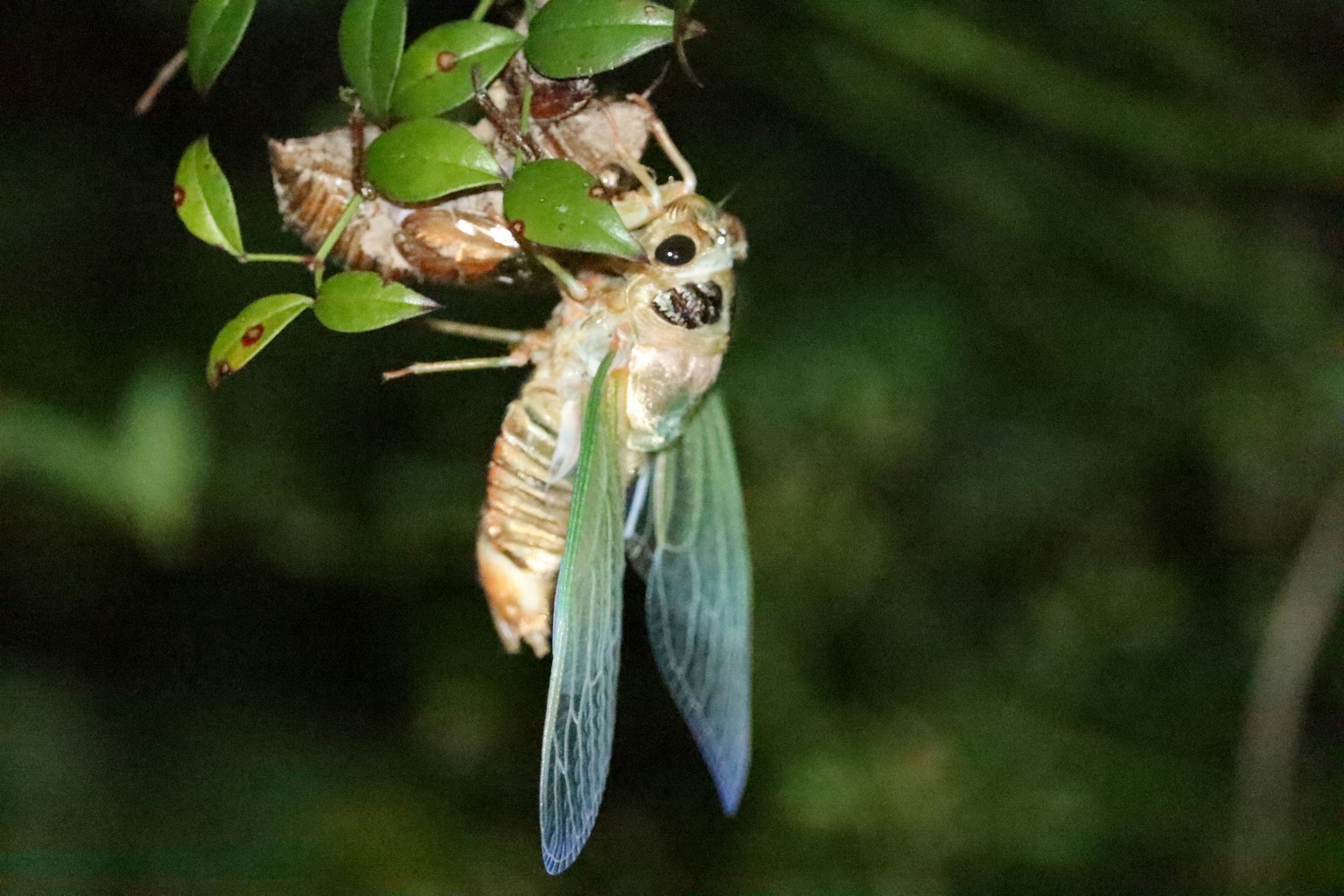 photo-CntkZmiPMpRZZzFbxbRf-image