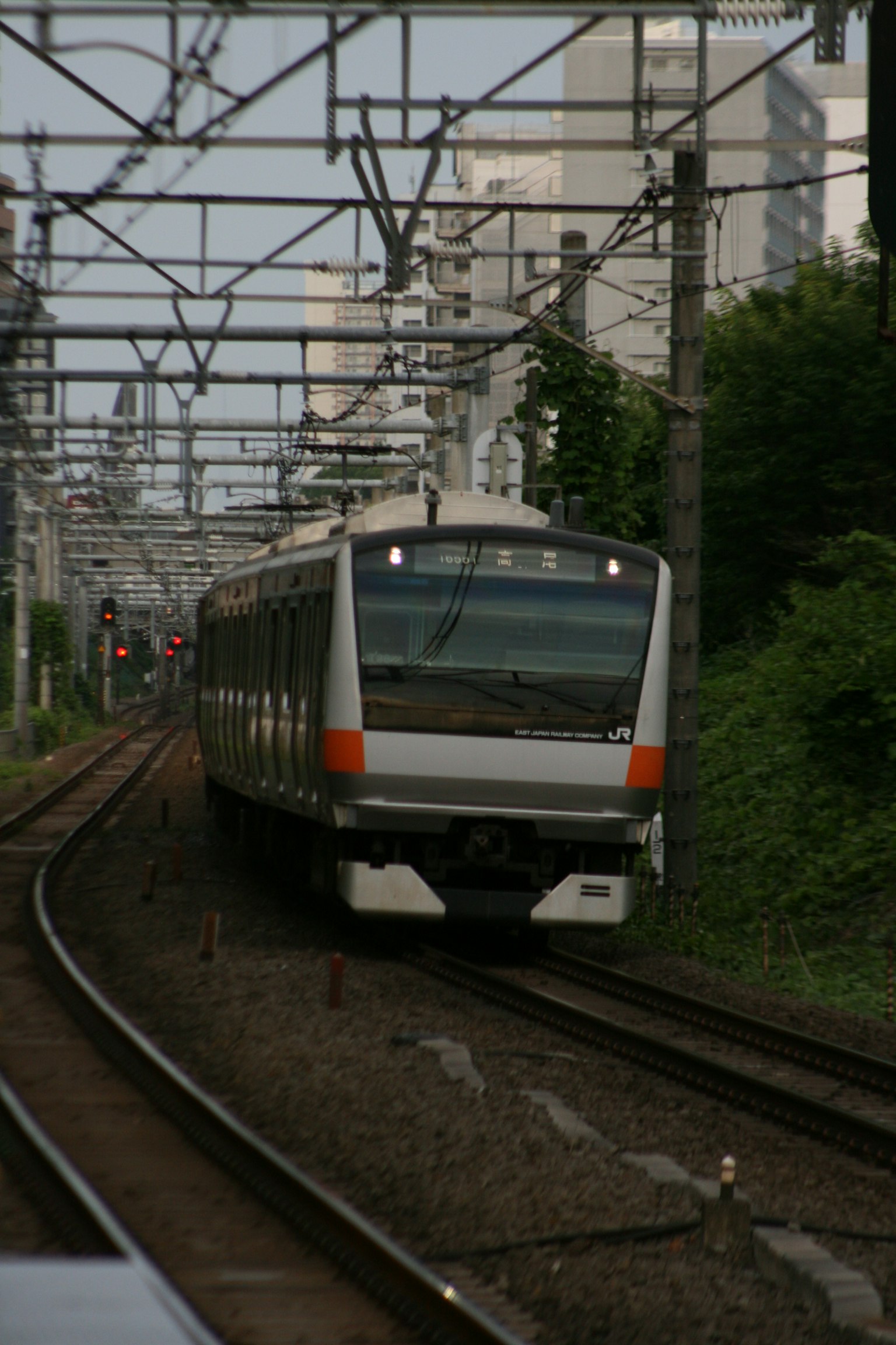 Nahaufnahme eines japanischen Zuges, der durch eine grüne Landschaft fährt