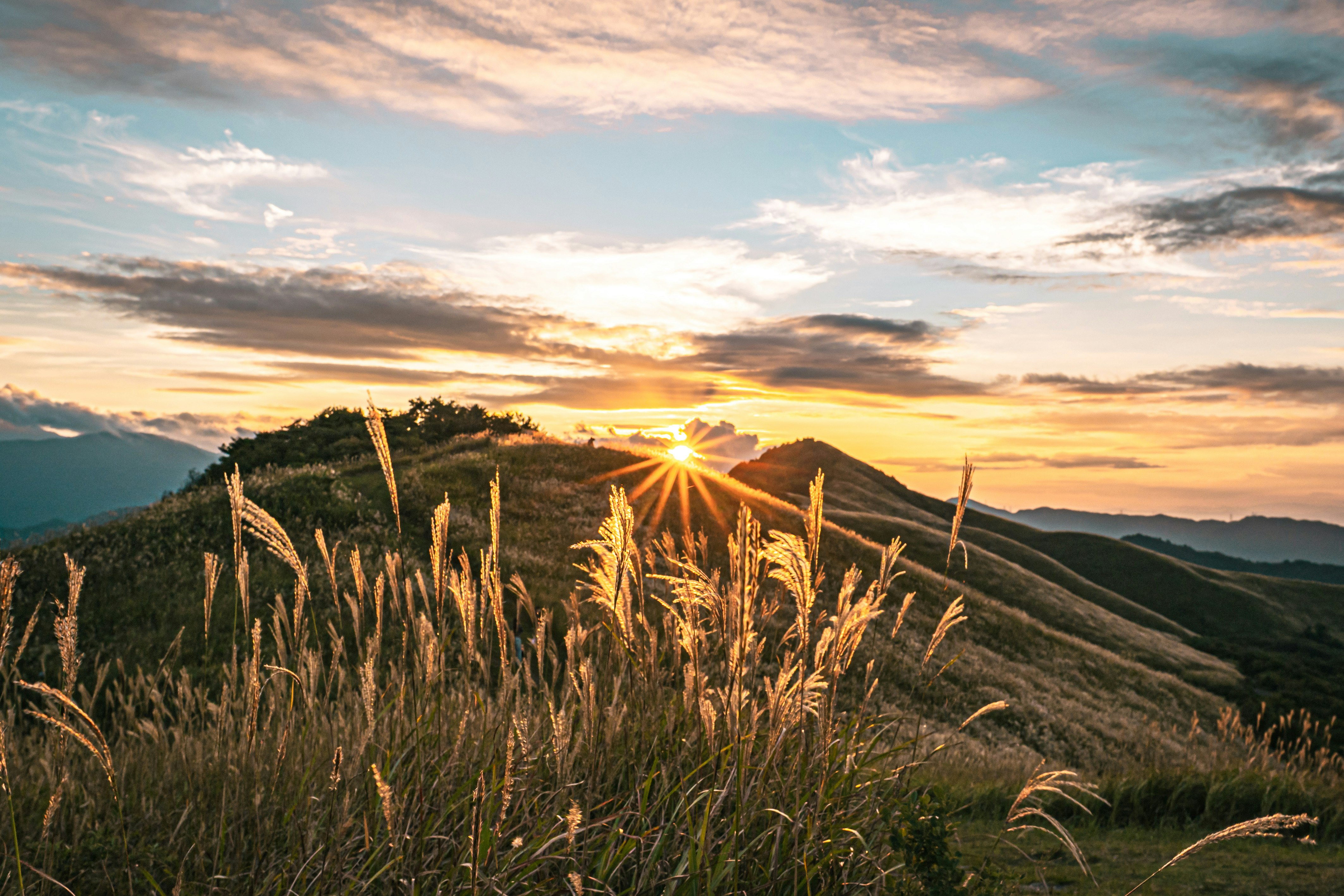 coucher de soleil sur un champ d’herbes à l’heure bleue d’automne