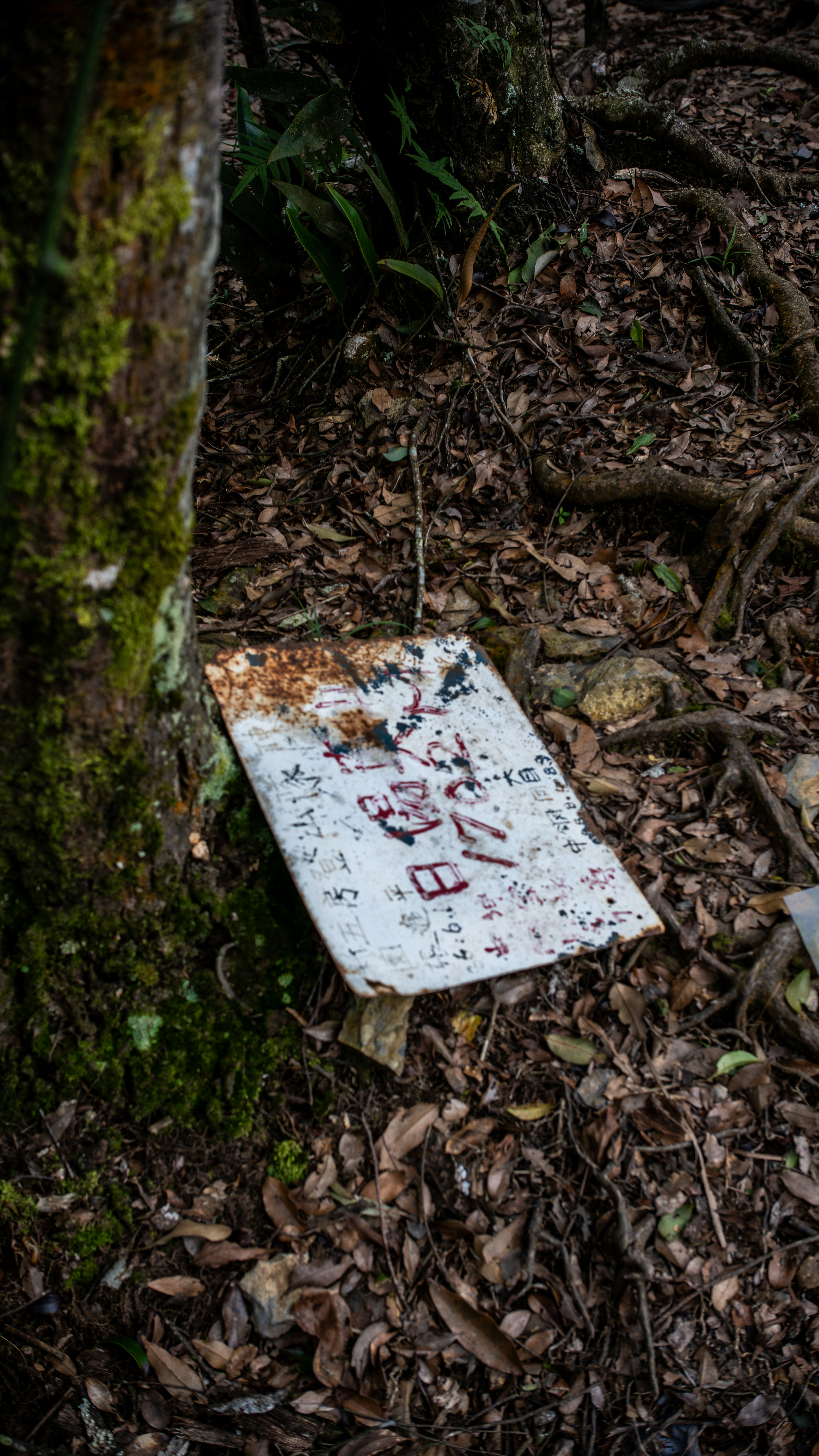 white sign placed on fallen leaves beside a tree trunk