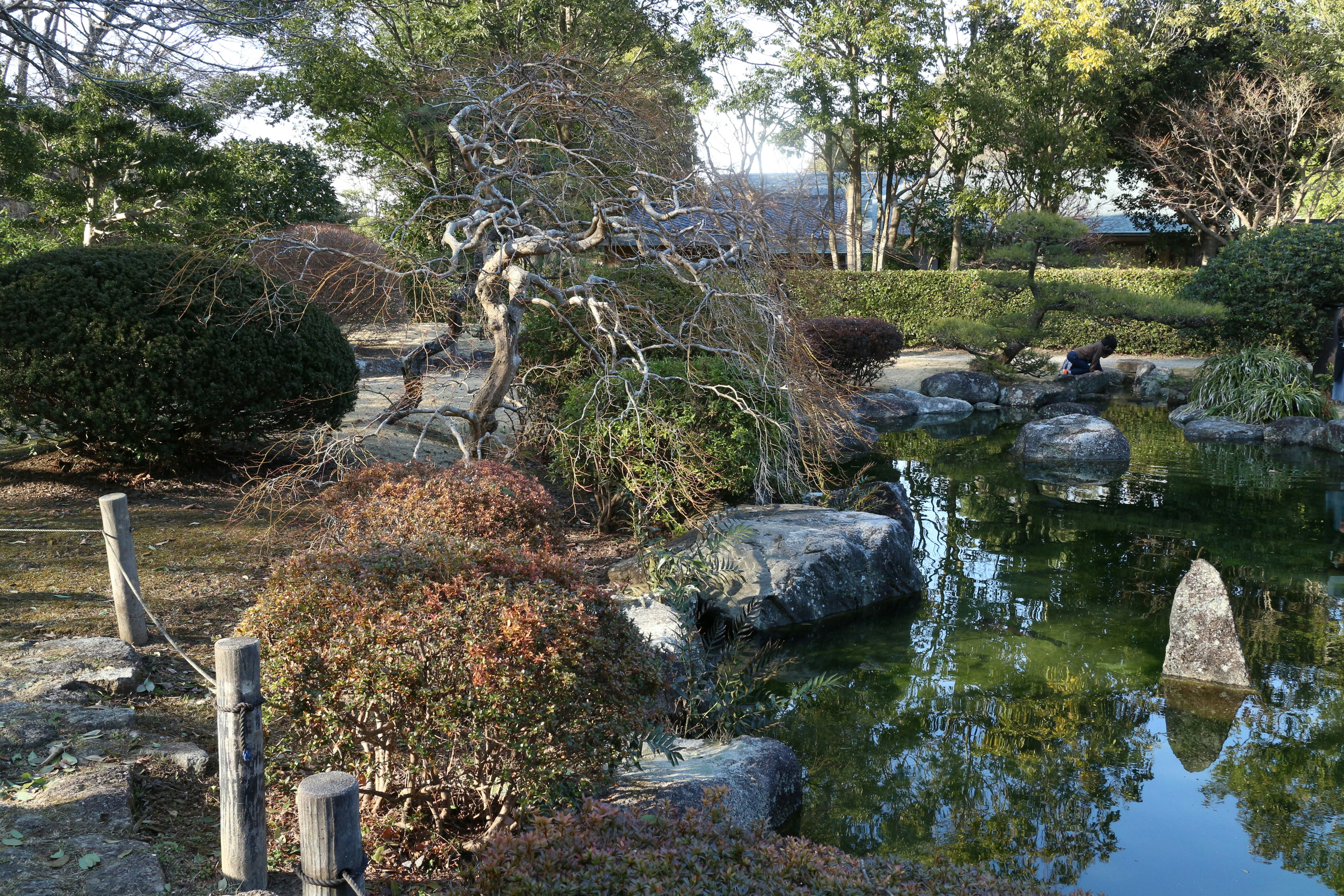 池のある庭園で苔むした石と水面の反射