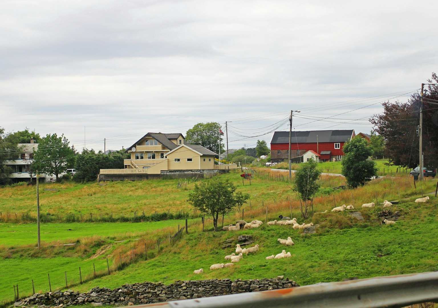 Maisons entourées de champs verdoyants et d'un troupeau de moutons