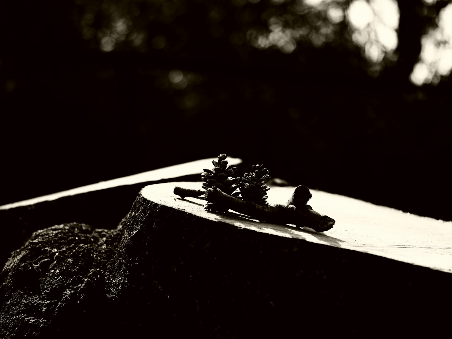 photo-Cro2Fzswe8QCUkAaqcZW-image