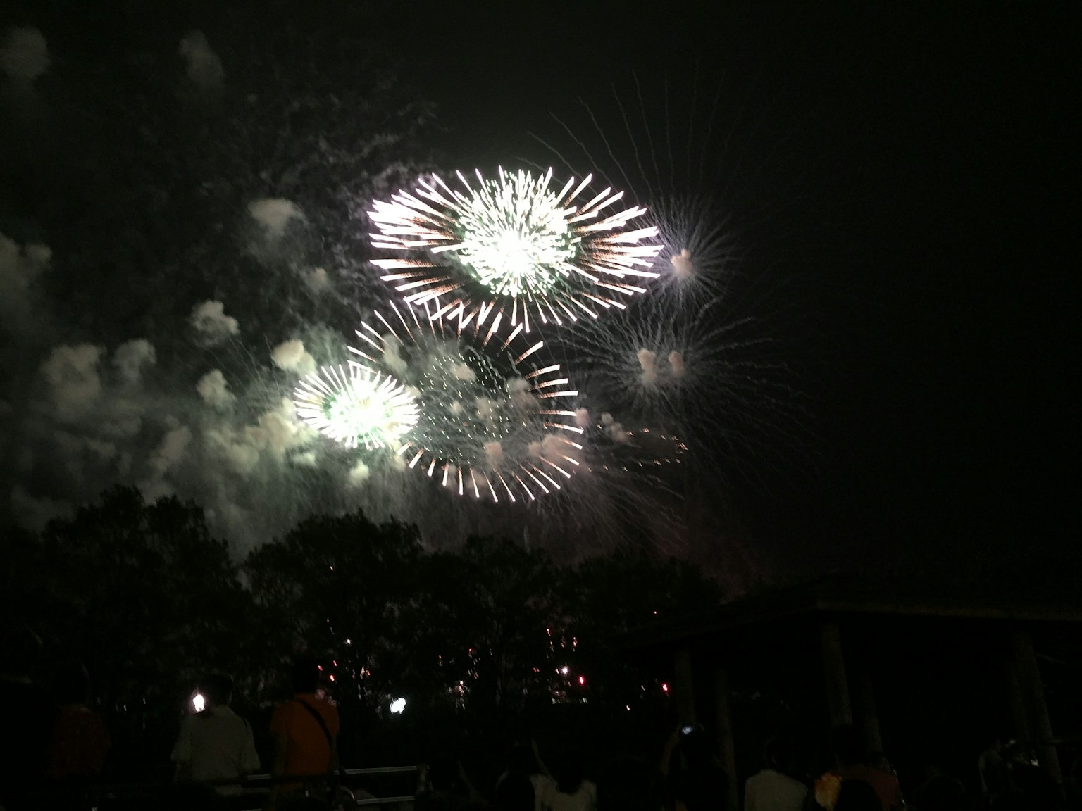 Pertunjukan kembang api yang indah menerangi langit malam dengan asap