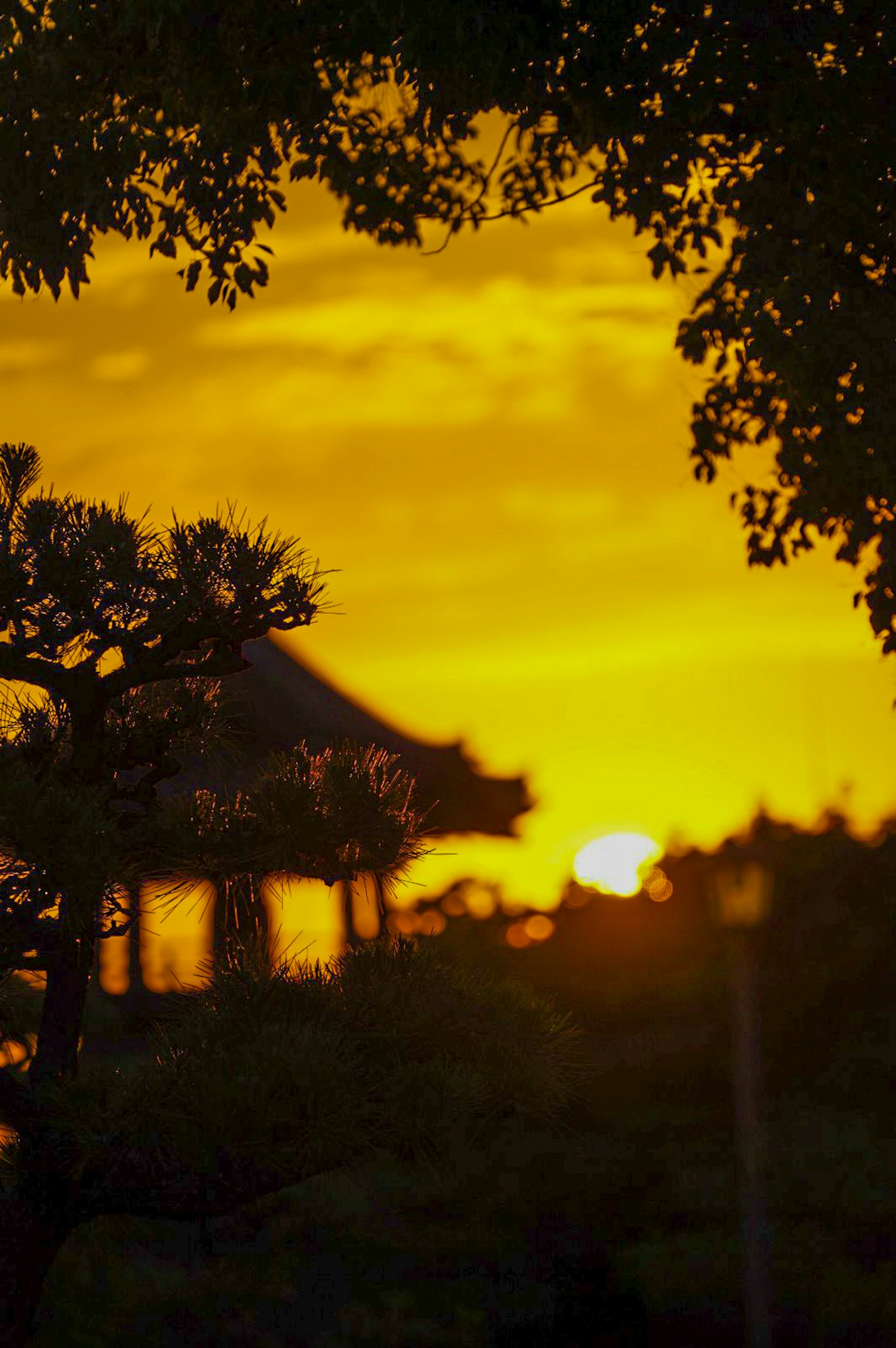 夕陽下的傳統日本建築剪影
