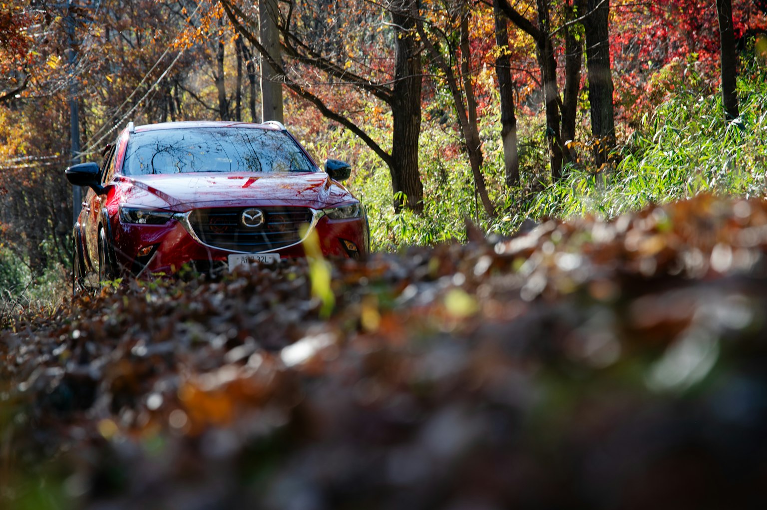 Roter Mazda im herbstlichen Wald geparkt