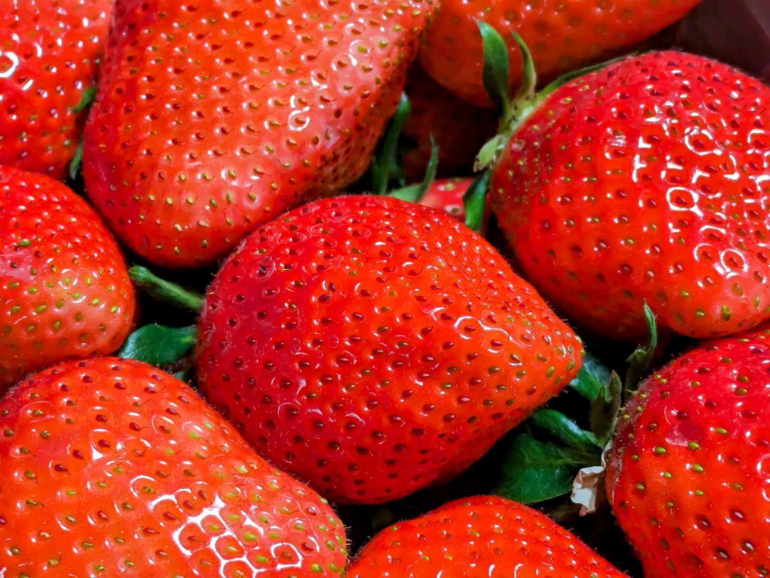 Nahaufnahme von frischen Erdbeeren mit lebendiger roter Farbe und grünen Blättern