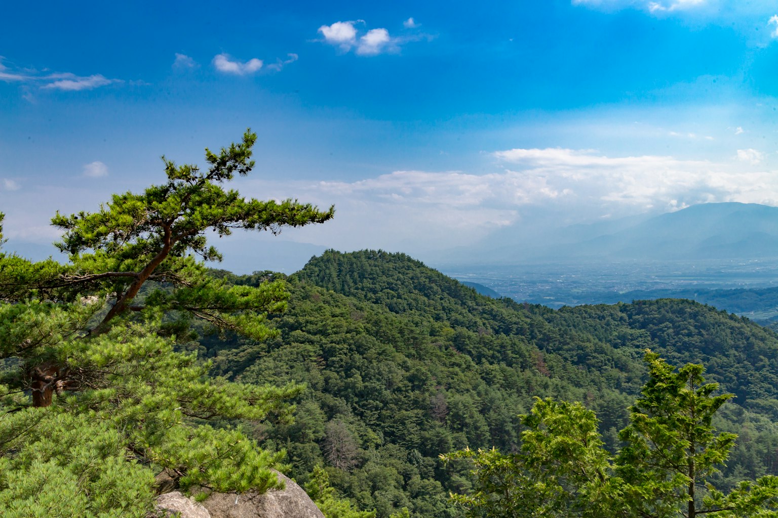 Vista panoramica di montagne verdi sotto un cielo blu con alberi alti e cime lontane