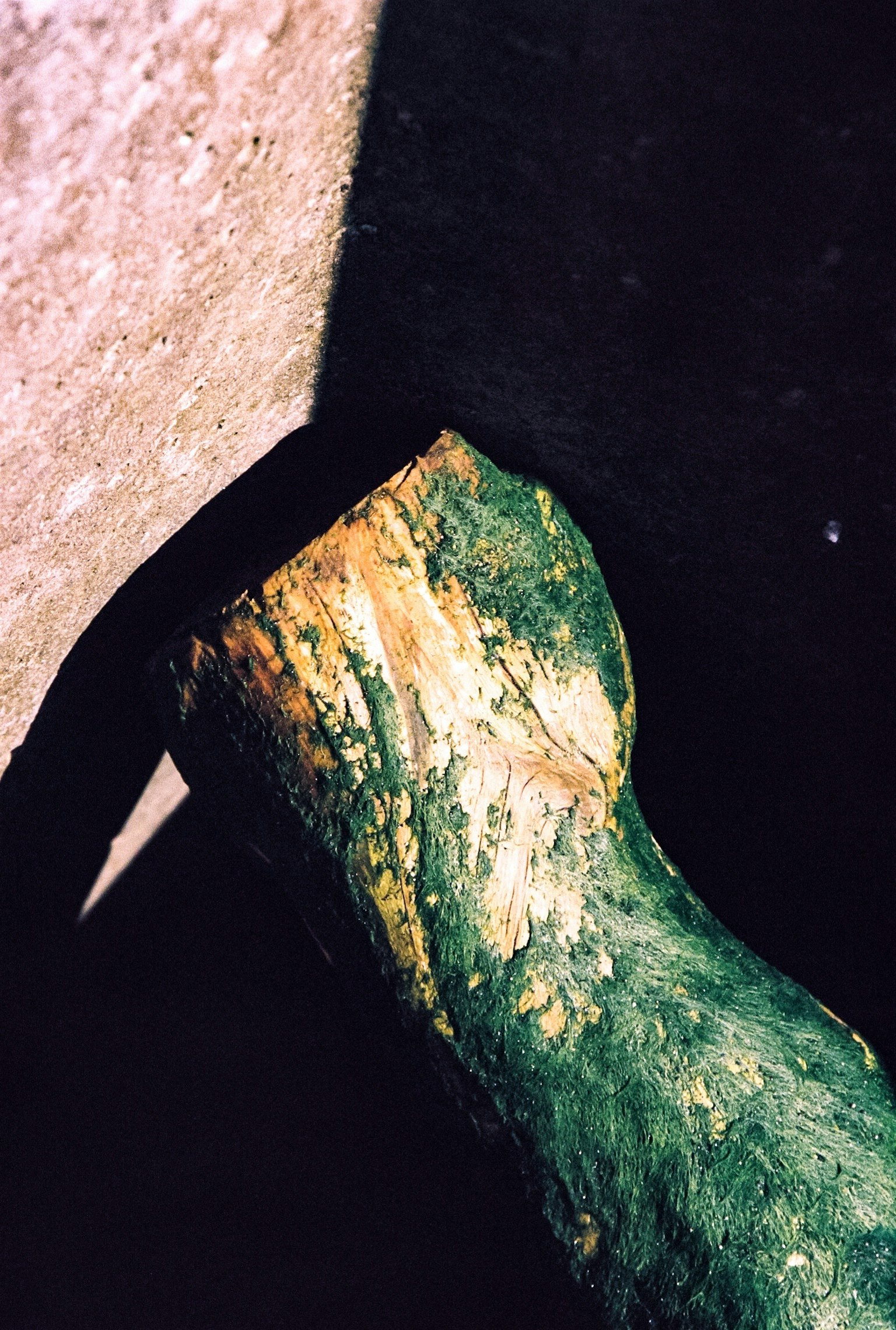 绿色物体部分接触墙壁的特写