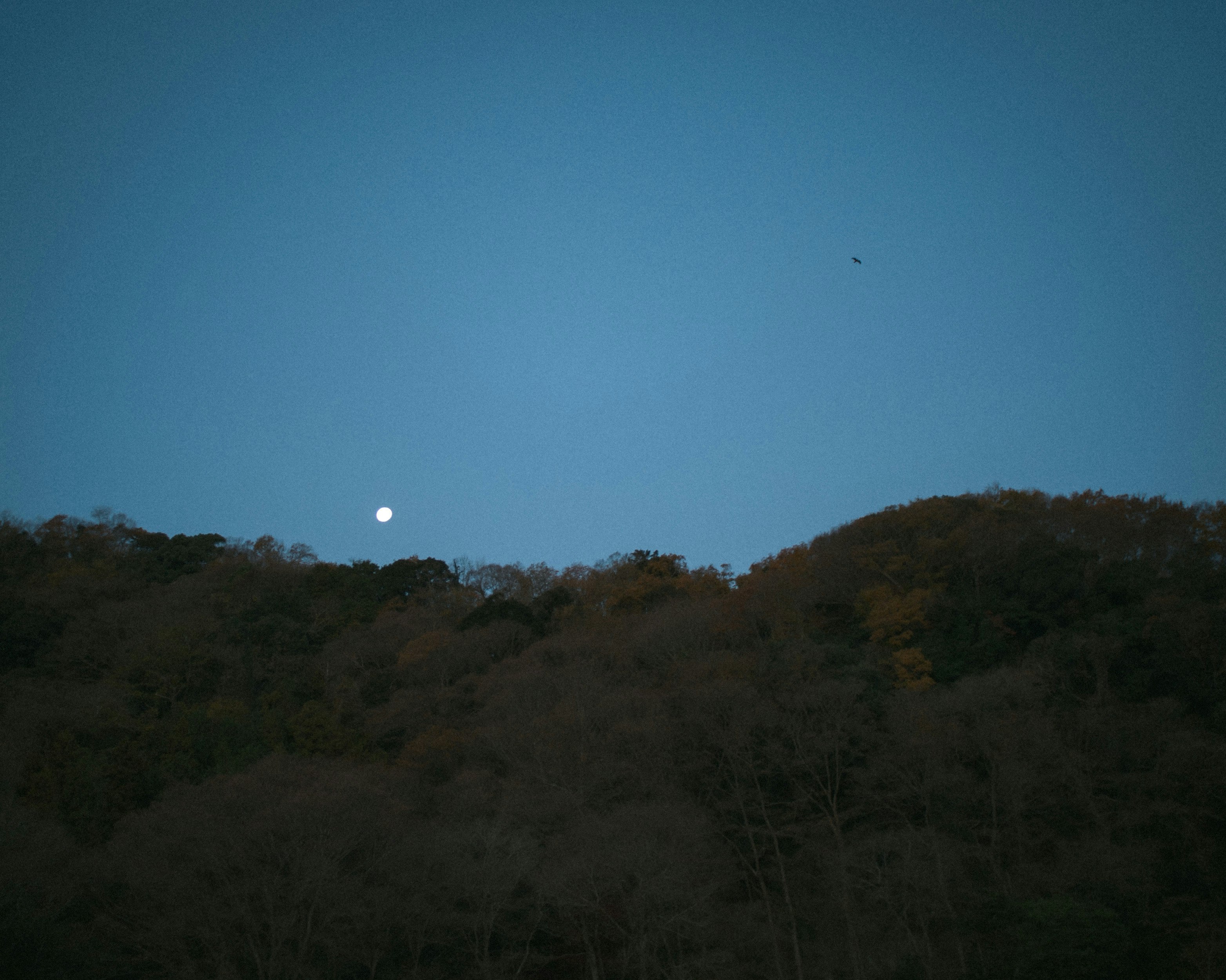 crinale montuoso sotto un cielo blu con una luce brillante simile alla luna