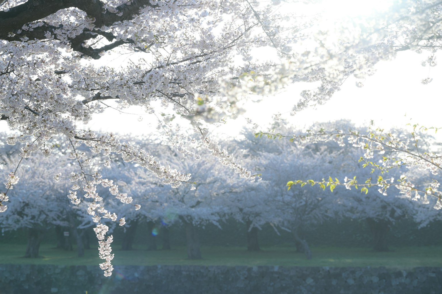 photo-CucOKB5YiYUYuYJX9Kxj-image